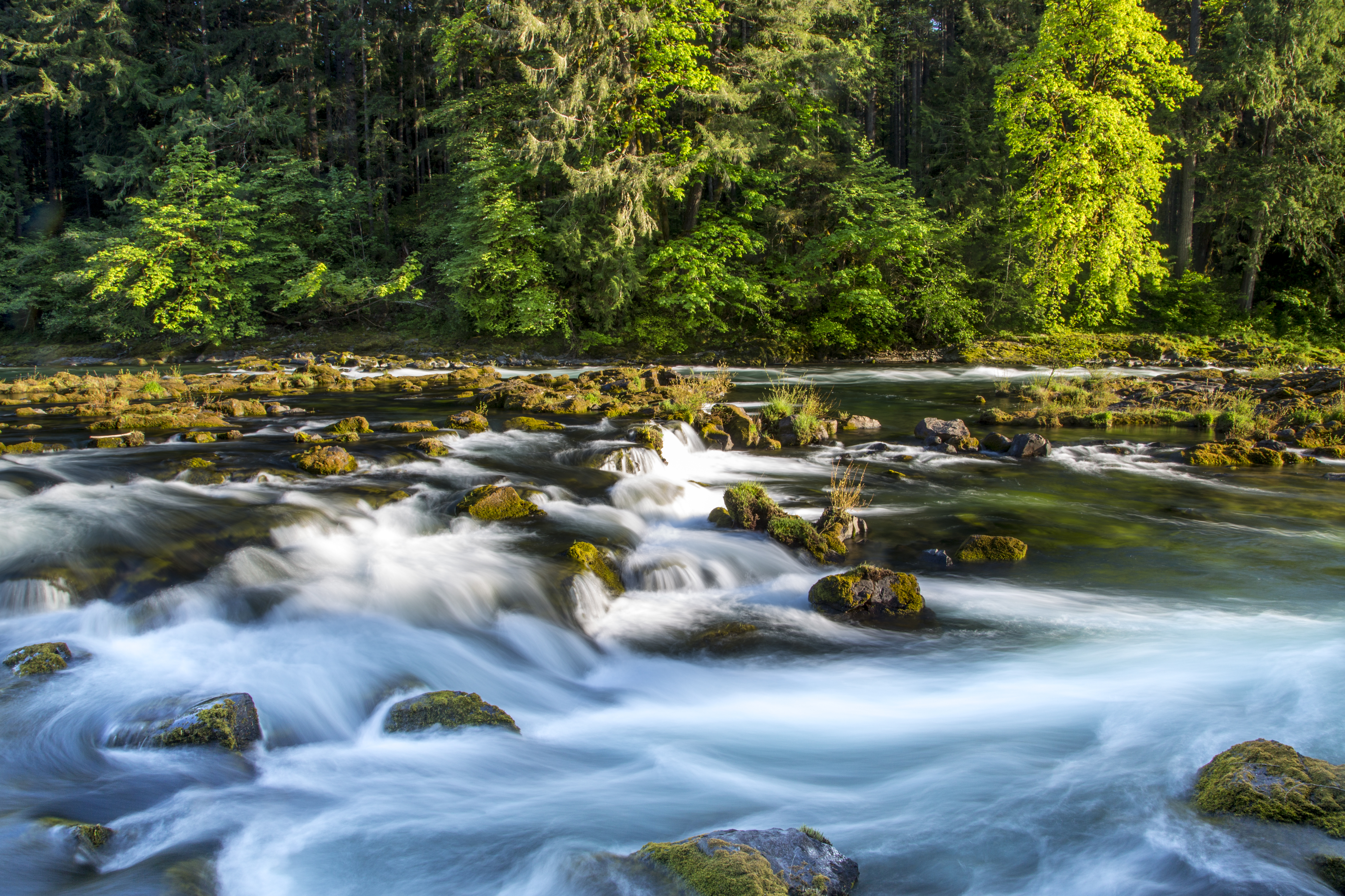 The North Umpqua Wild and Scenic River in Oregon (photo