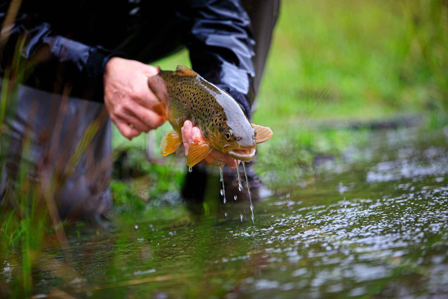 10 Tips to Make Stillwater Fly Fishing More Fun 