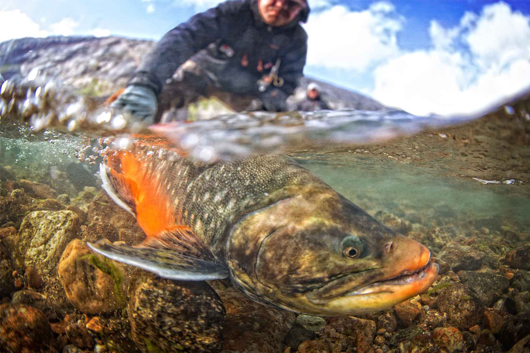 Fly fishing Greenland for giant arctic char
