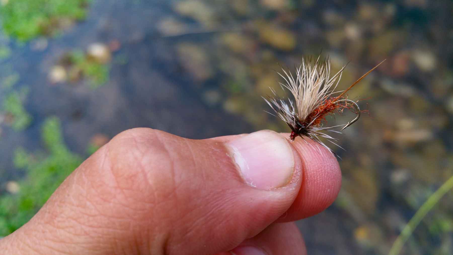How to tie your own fly fishing flies