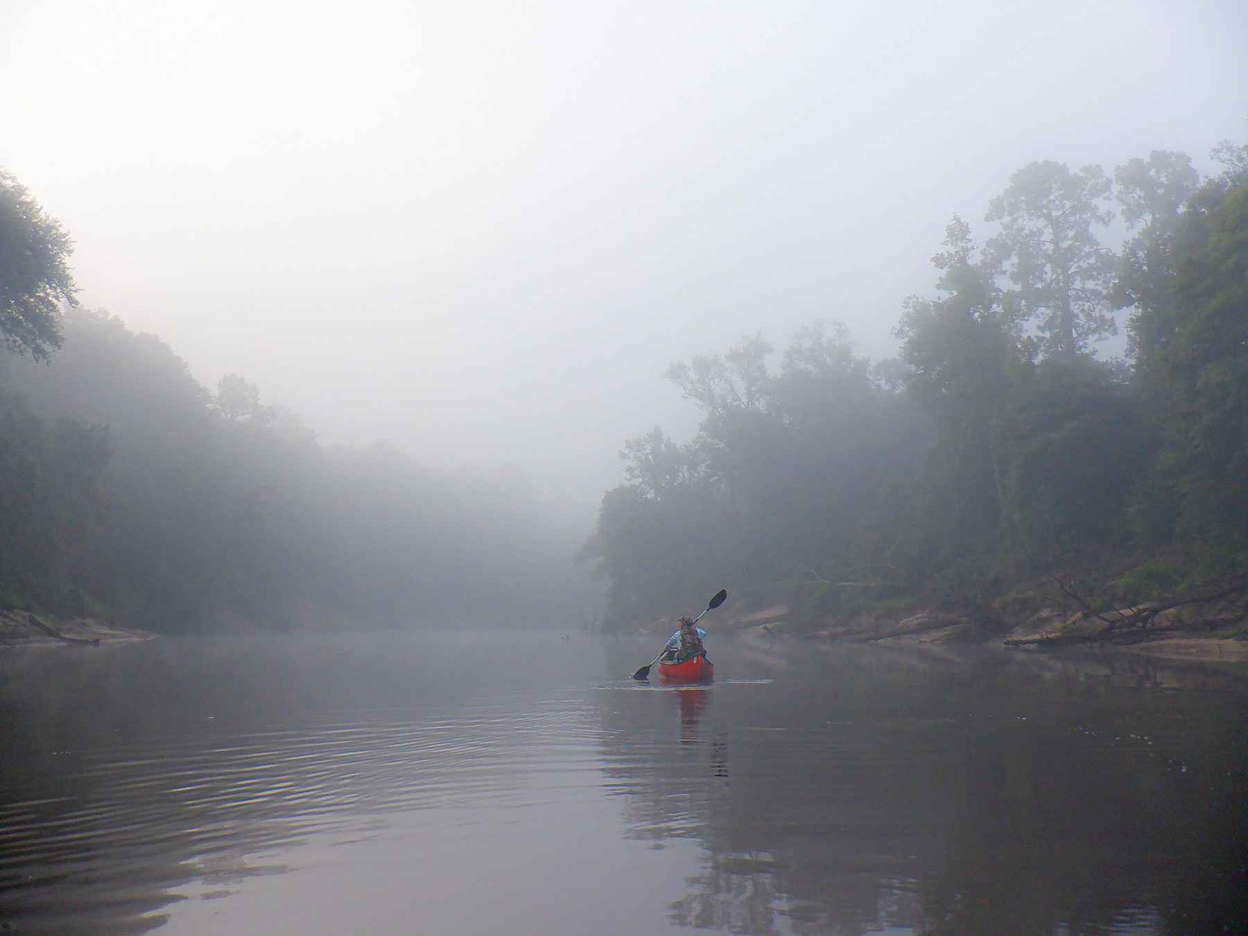 Fishing pole early morning on dark, foggy river Stock Photo by
