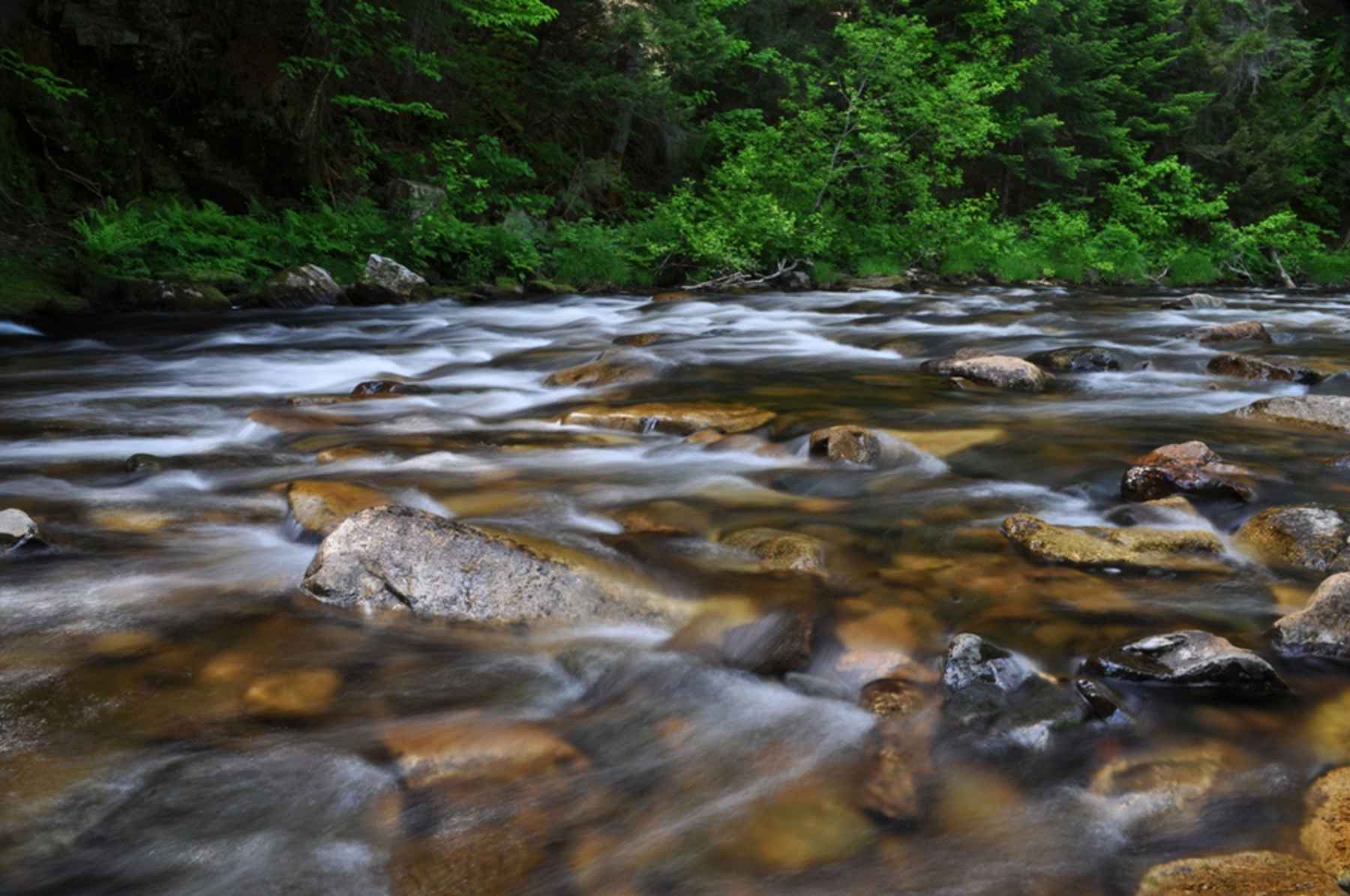 5 Tips for Small Stream Success — Baetis & Stones