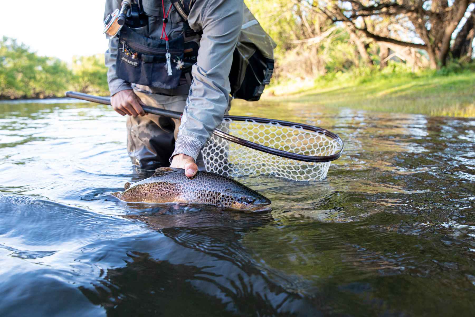 Allen Fly Fishing Trout 2 Reel Review 