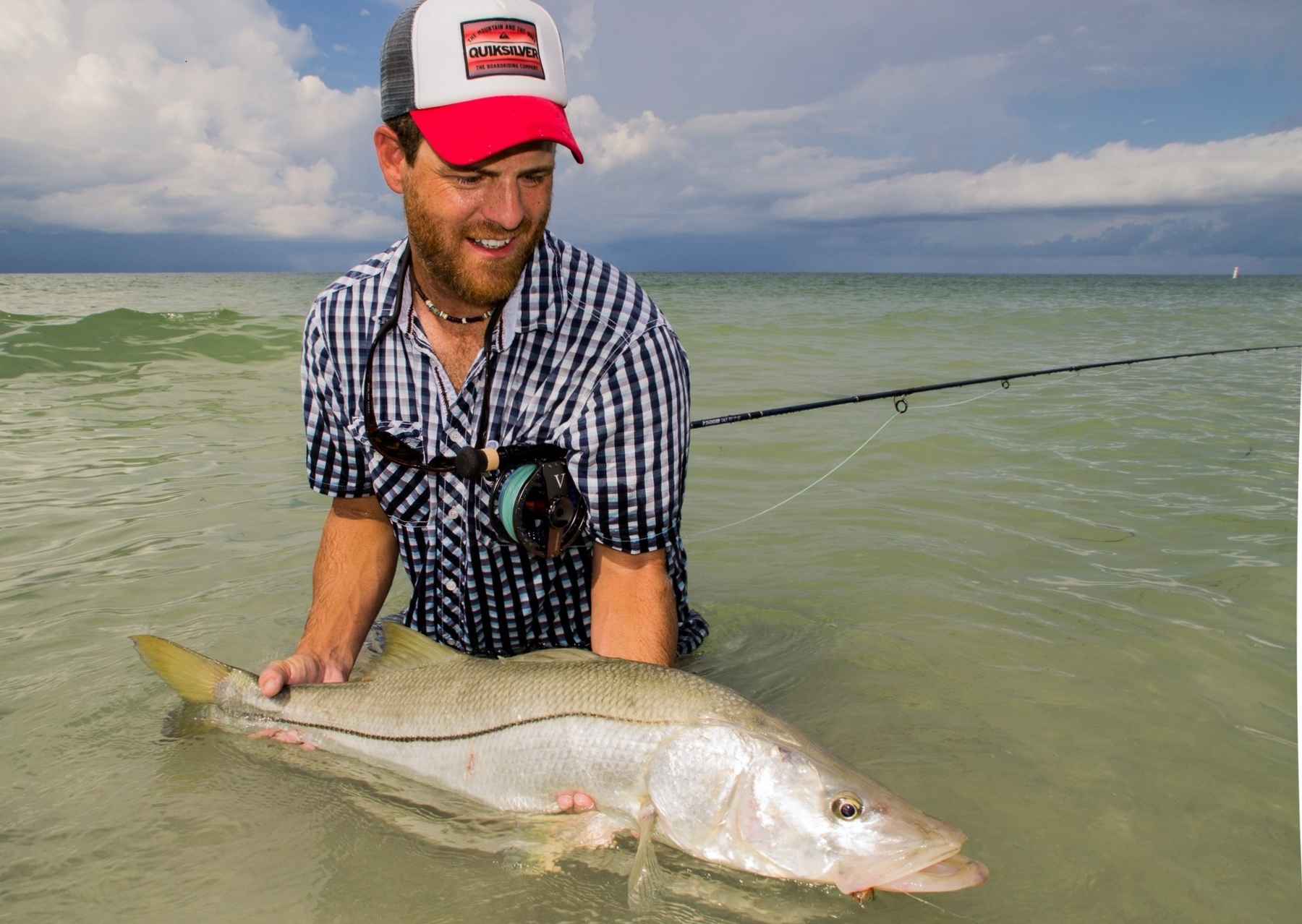 What I learned from beach snook  Hatch Magazine - Fly Fishing, etc.