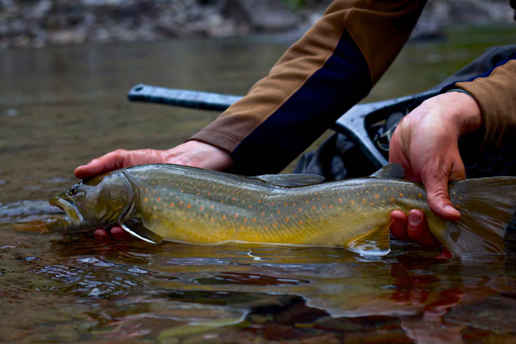 Fishpond Gunnison Guide Pack - Idaho Angler