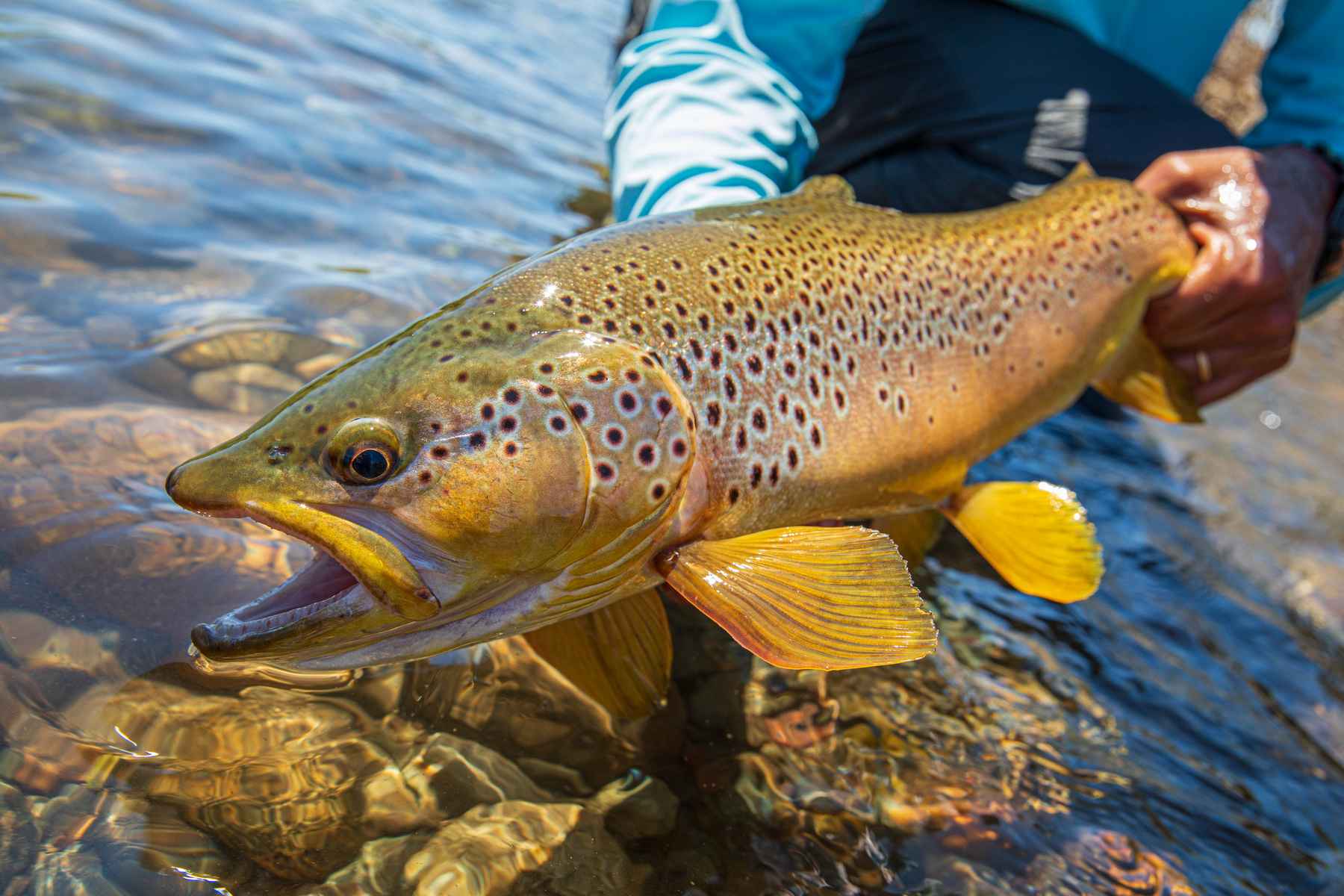 http://www.hatchmag.com/sites/default/files/styles/extra-large/public/field/image/CJ553A2284.jpg