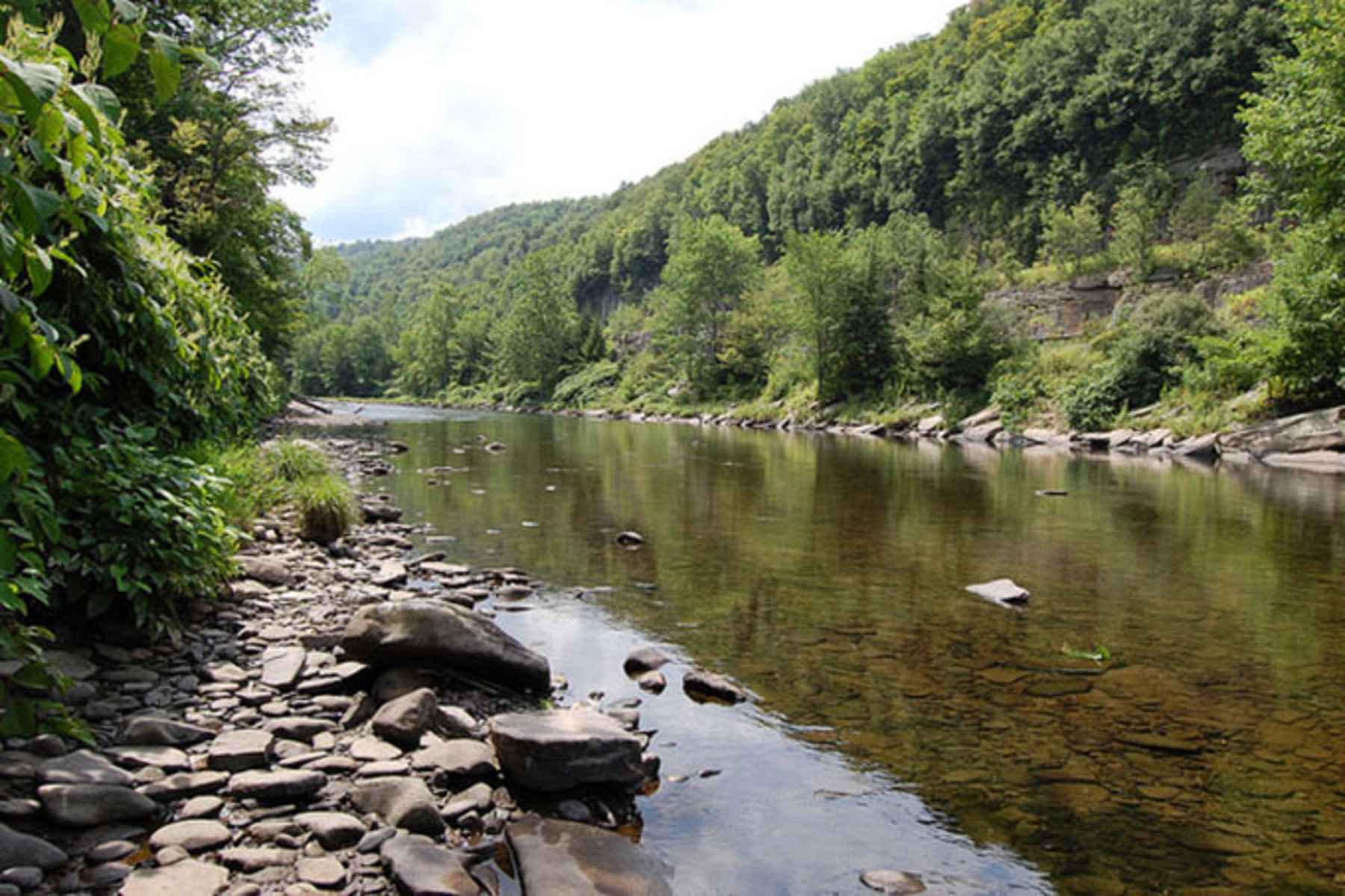 Man Fly Fishing, Cairns Pool, Beaverkill River, Catskill Park, New