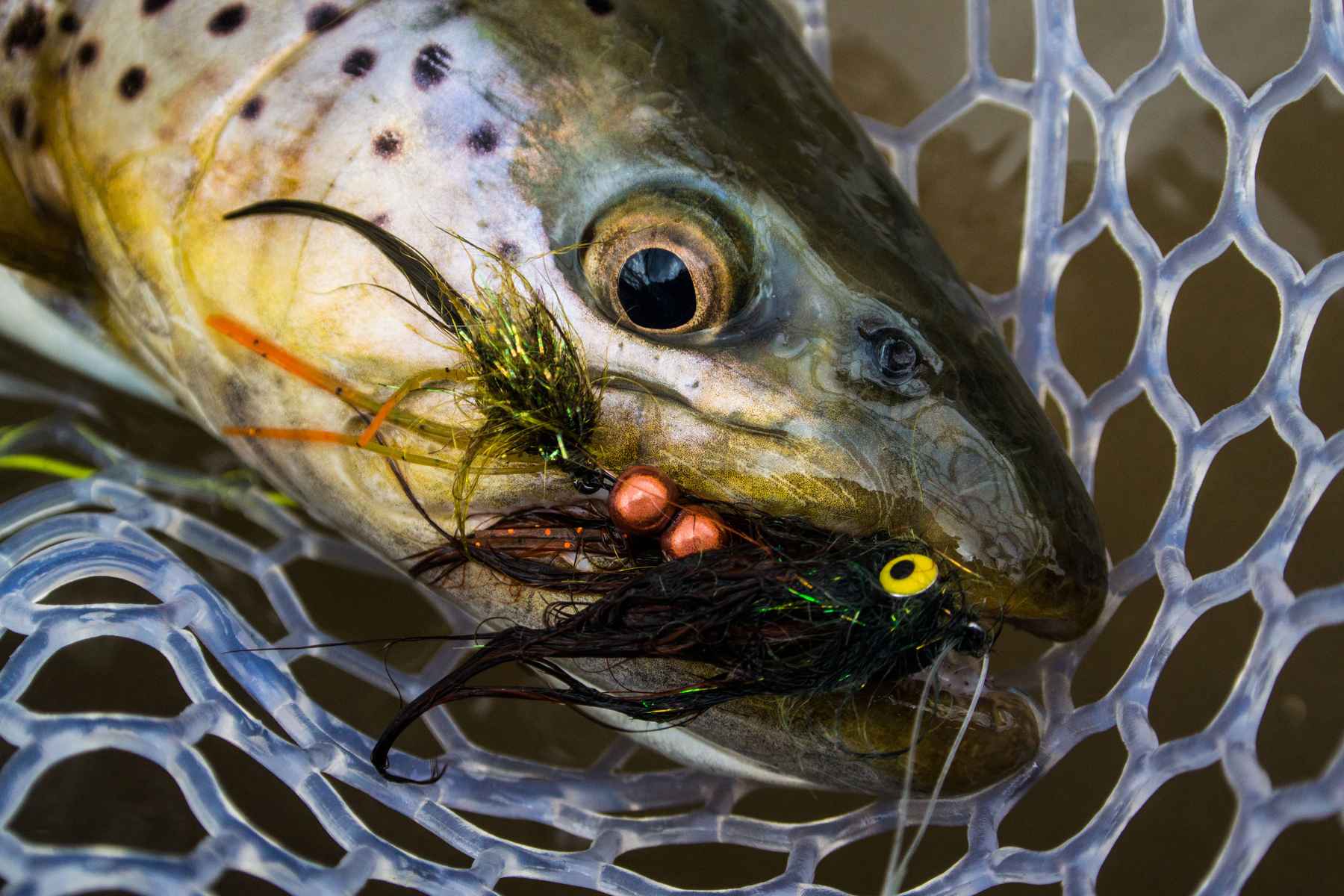 Slug zombies are the perfect spring streamer 🍖 #flyfishing  #streamerfishing #fishing #river #pescavida