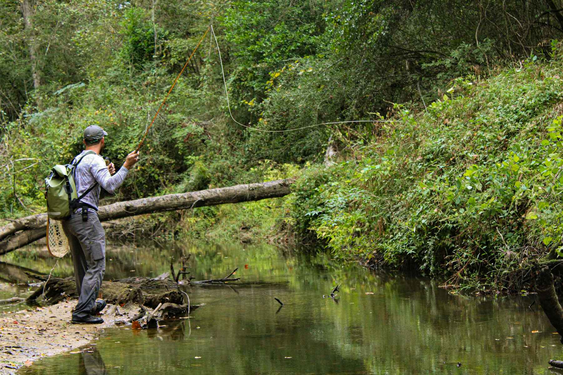An ode to the Texas creek freak and native spotted bass