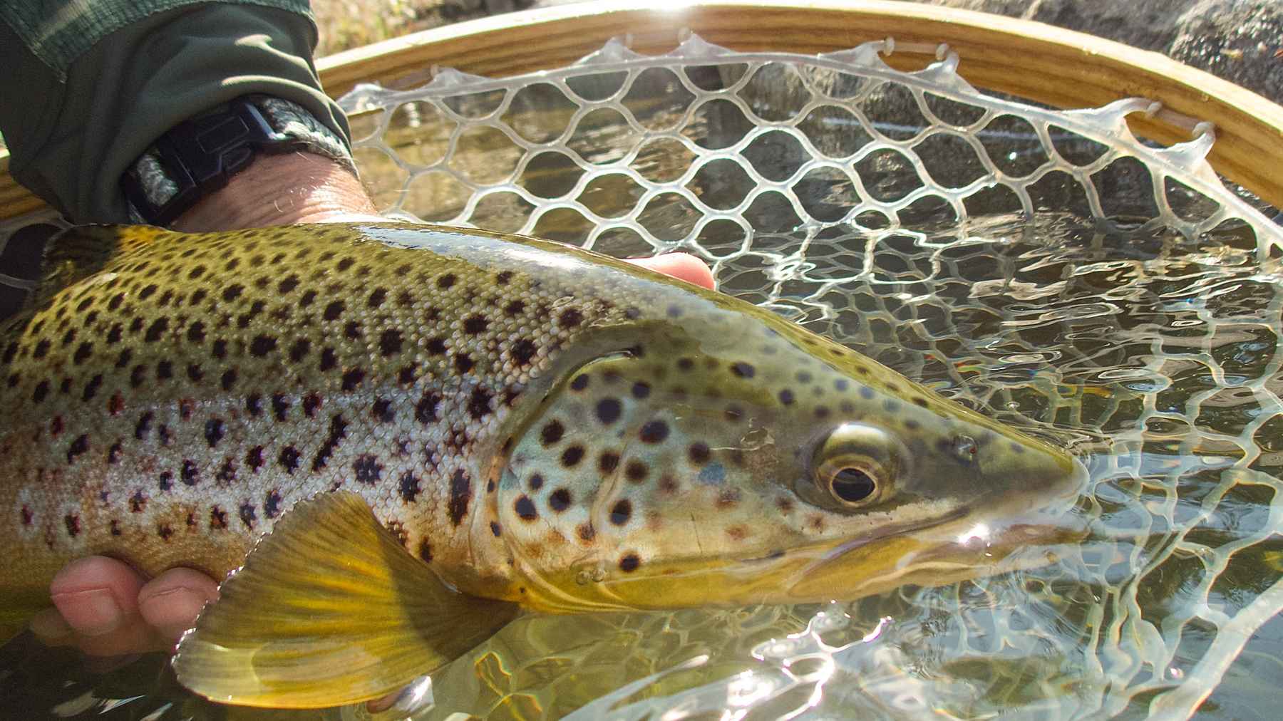 Review: Snowbee Classic fly rod  Hatch Magazine - Fly Fishing, etc.