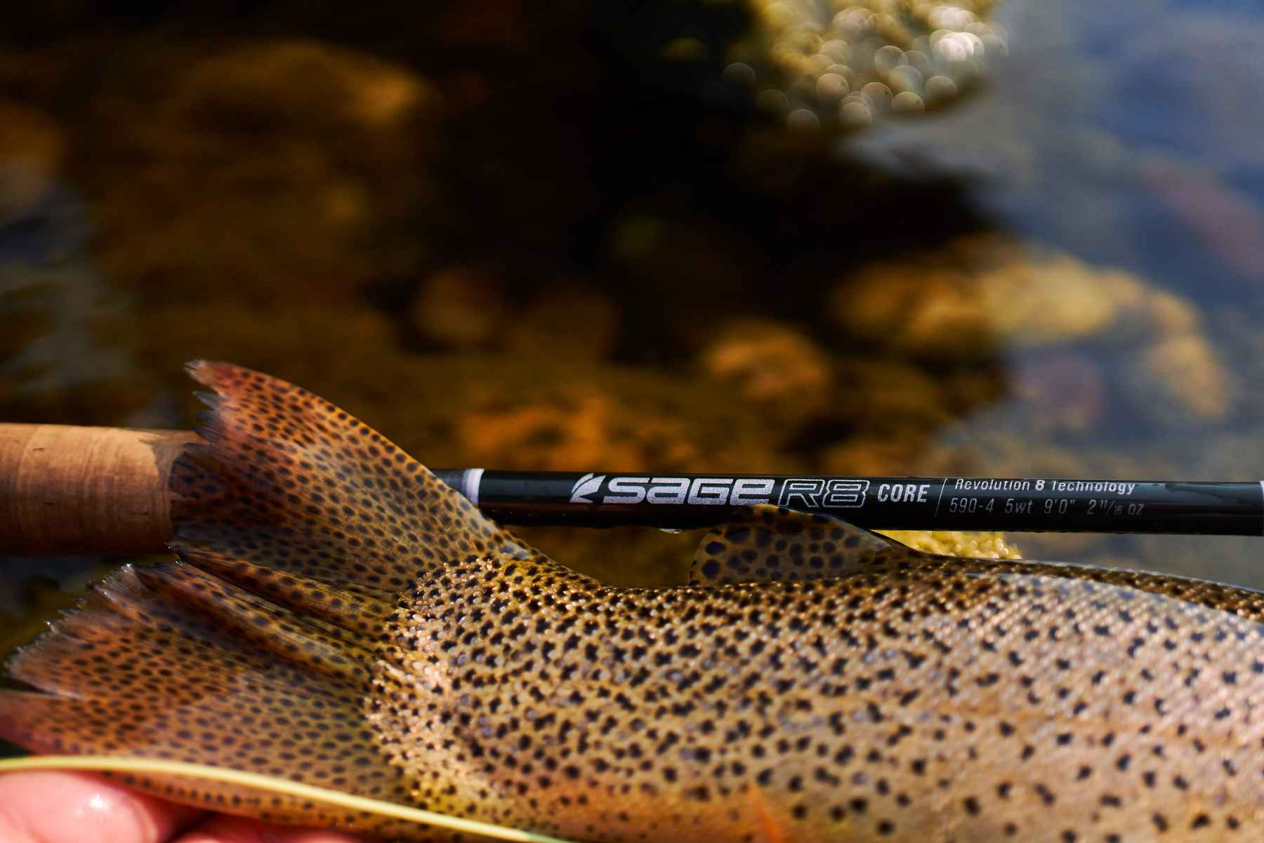 Sage Xp Fly Rod Review: Unveiling the Power Behind the Cast