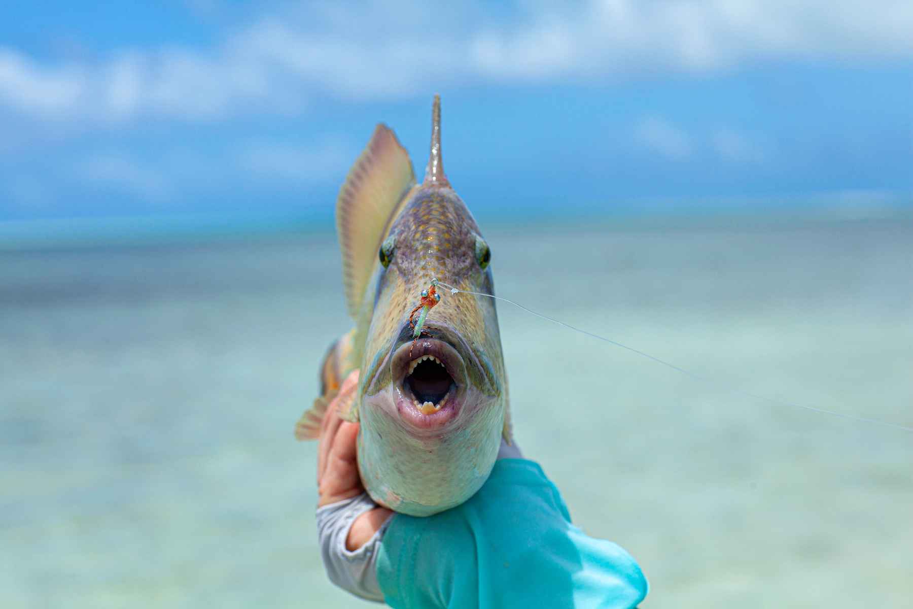 giant fish hook  Shoestring Weekends Blog