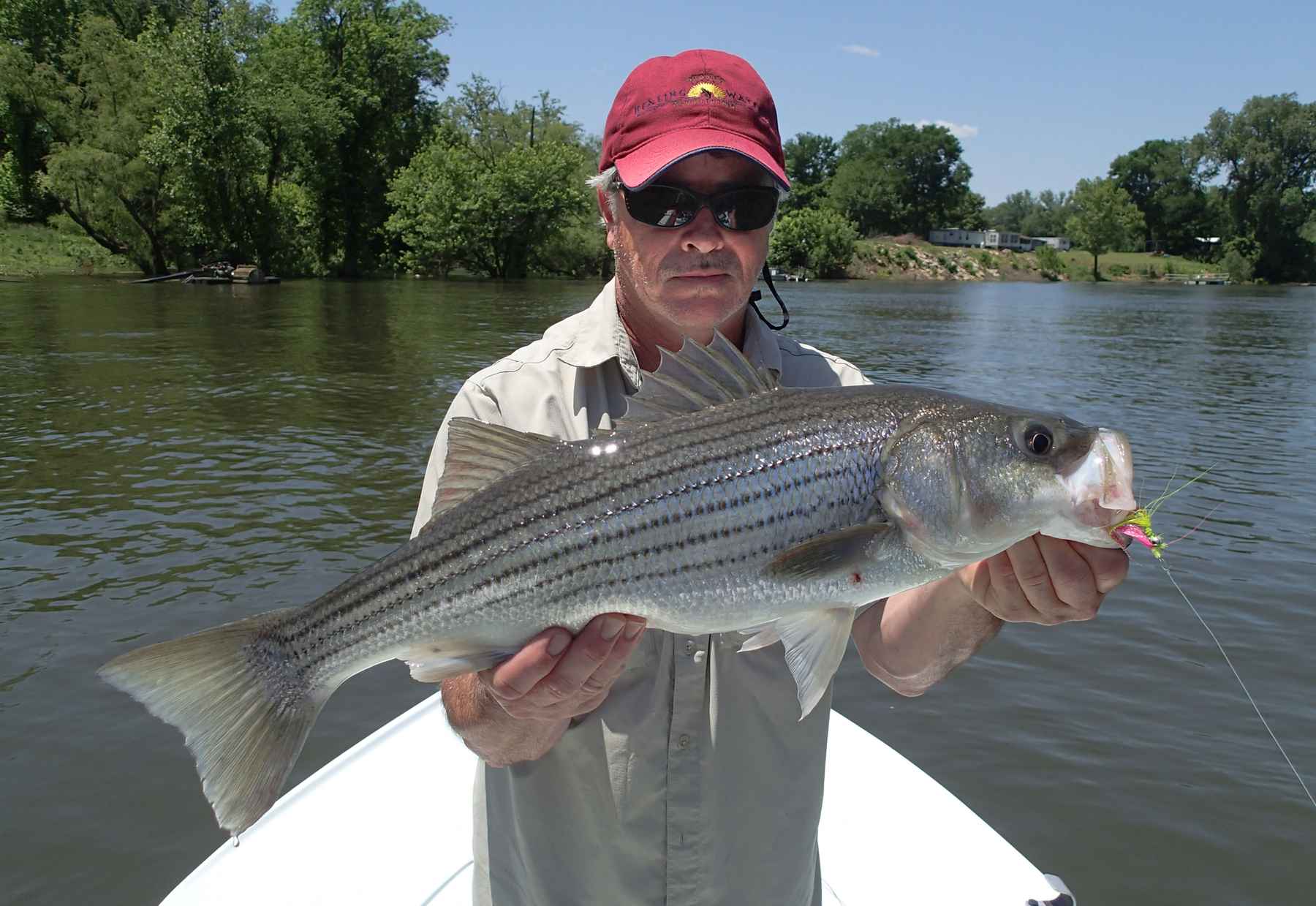 From the Vise: Striped Bass & Atlantic Salmon Flies