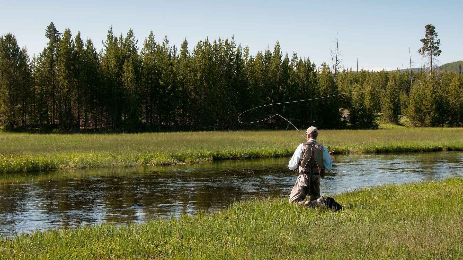 Tight Lined Tales of a Fly Fisherman: New E-Zine: Montana Fly