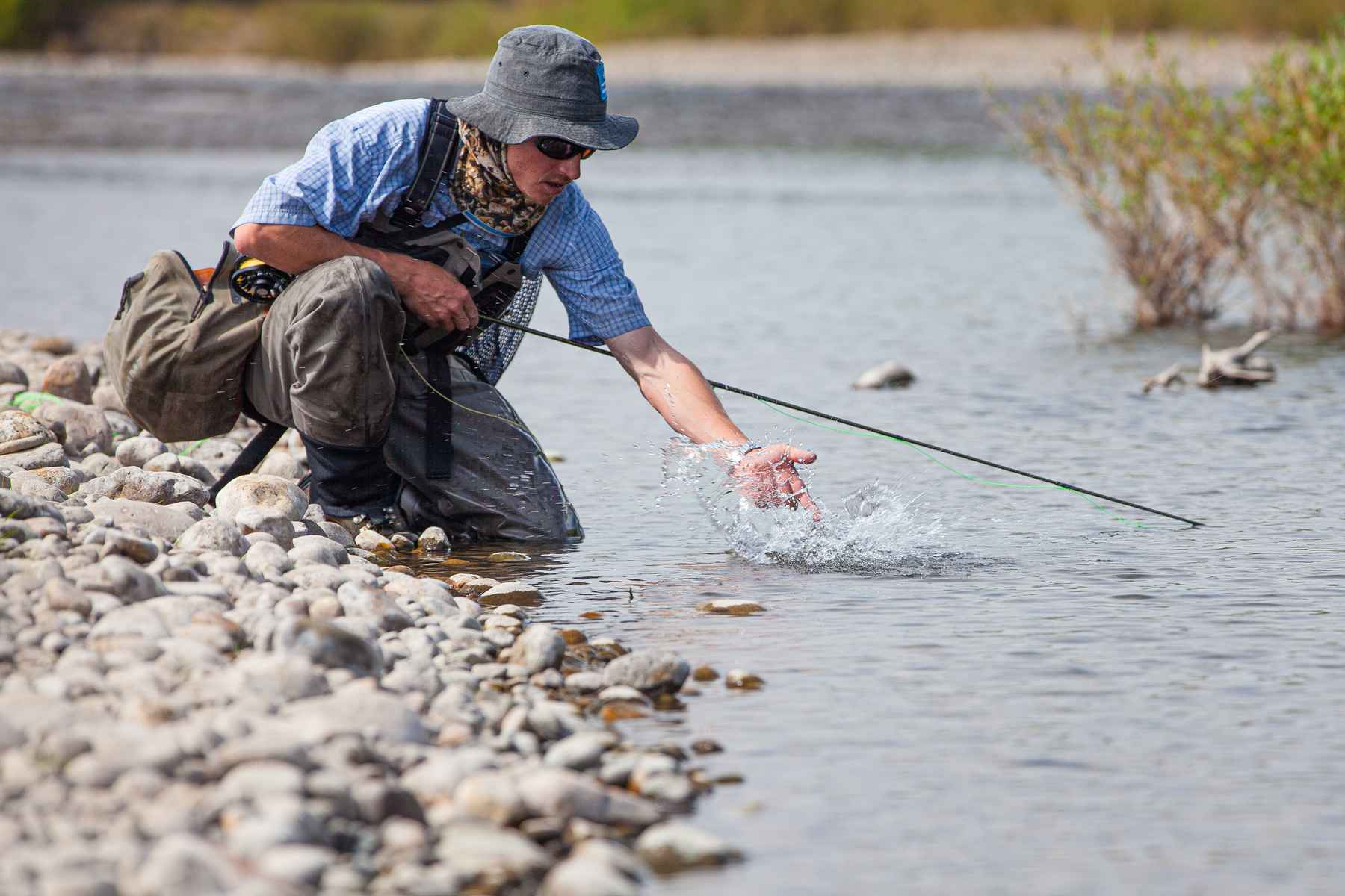 5 dry flies for catching backcountry trout
