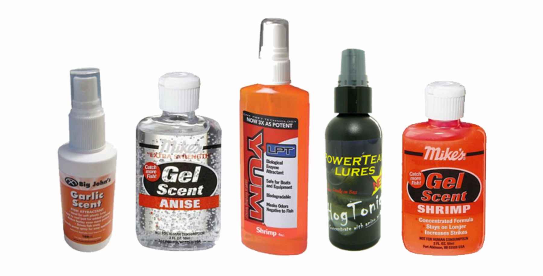 Top 5 Winter Trout Fishing Scents (with Bonus Scents You NEED