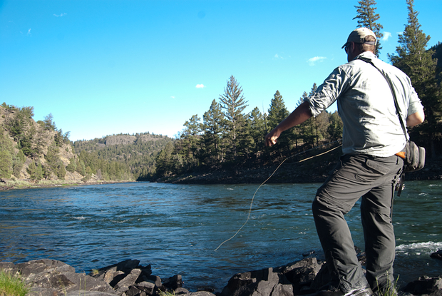 Backcountry fly fishing on the Yellowstone River in Yellowstone National Park Yellowstone River Fly Fishing