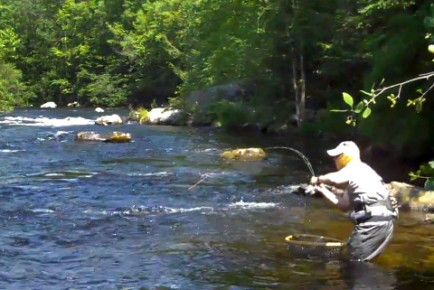 Applying side pressure when fighting a fish keeps the advantage in the hands of the angler. Under Pressure