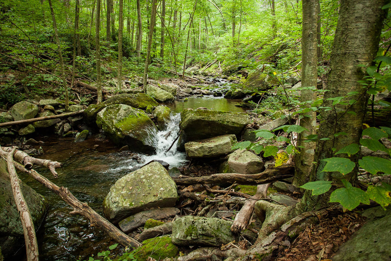 Trout Unlimited Backs EPA Proposal to Reinstate Clean Water Act