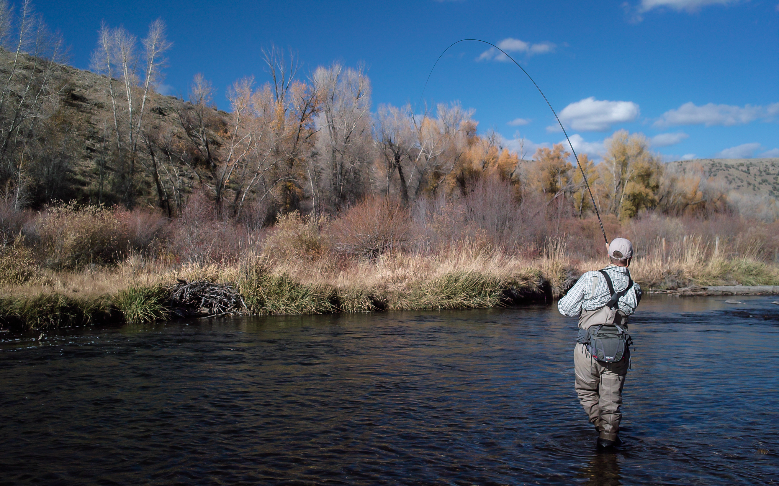 Two fly tenkara | Hatch Magazine - Fly Fishing, etc.