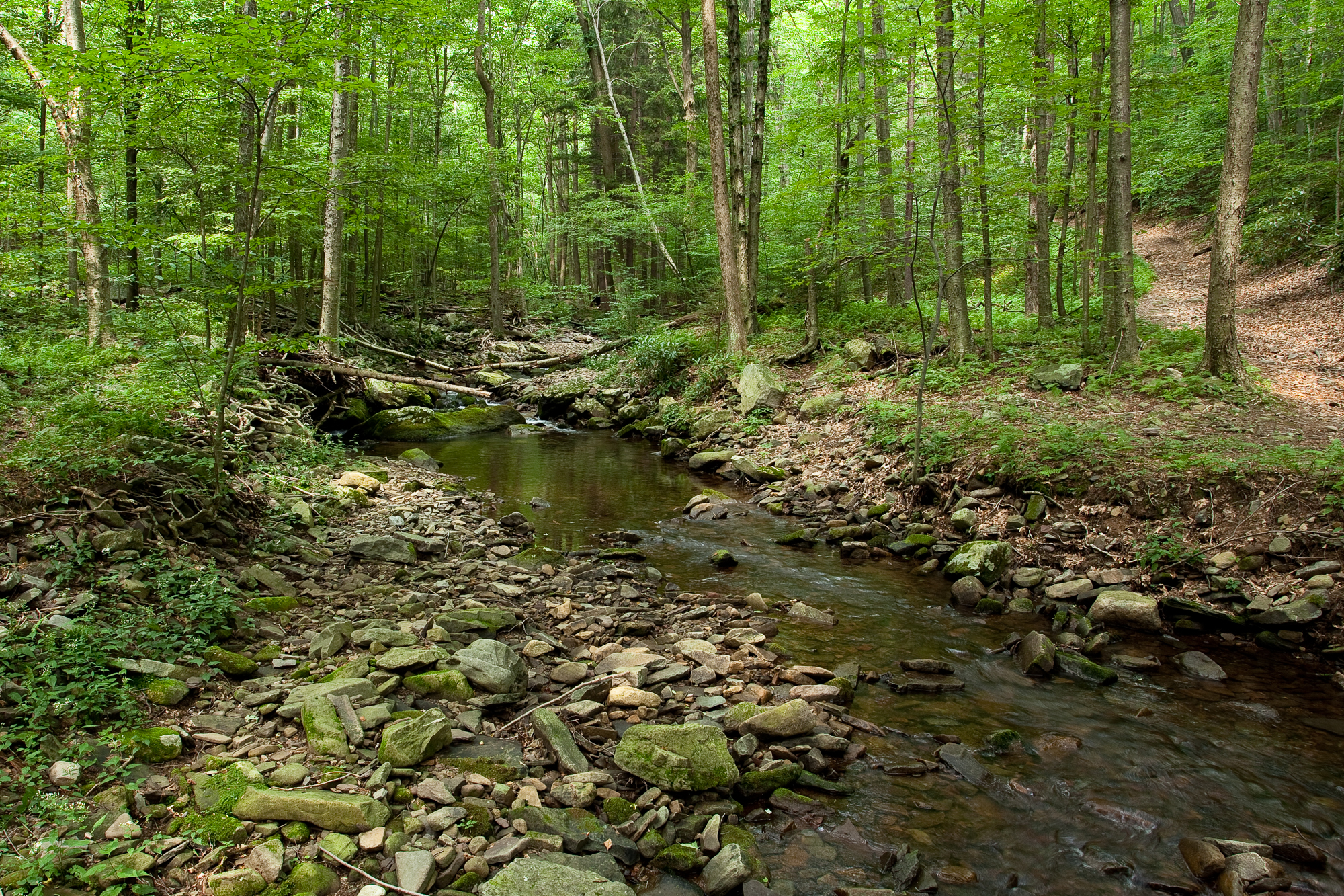 Sportsmen Block Pennsylvania Lawmakers' Attack on Wild Trout and ...