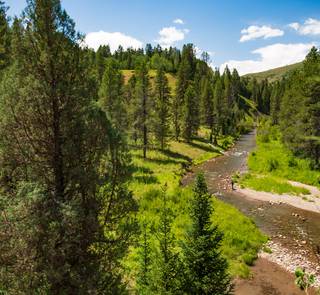 small trout creek idaho