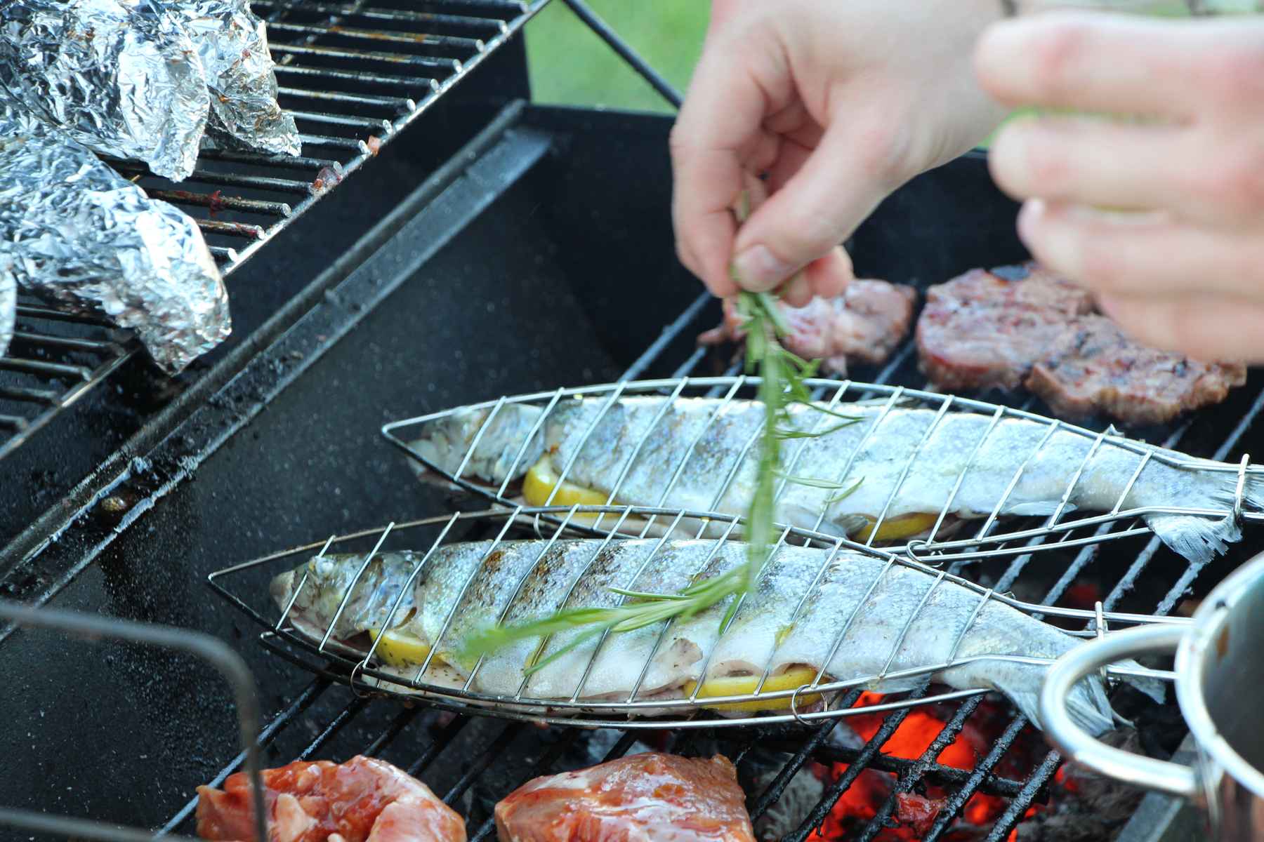 Photo: Jan Sokoly grilling trout