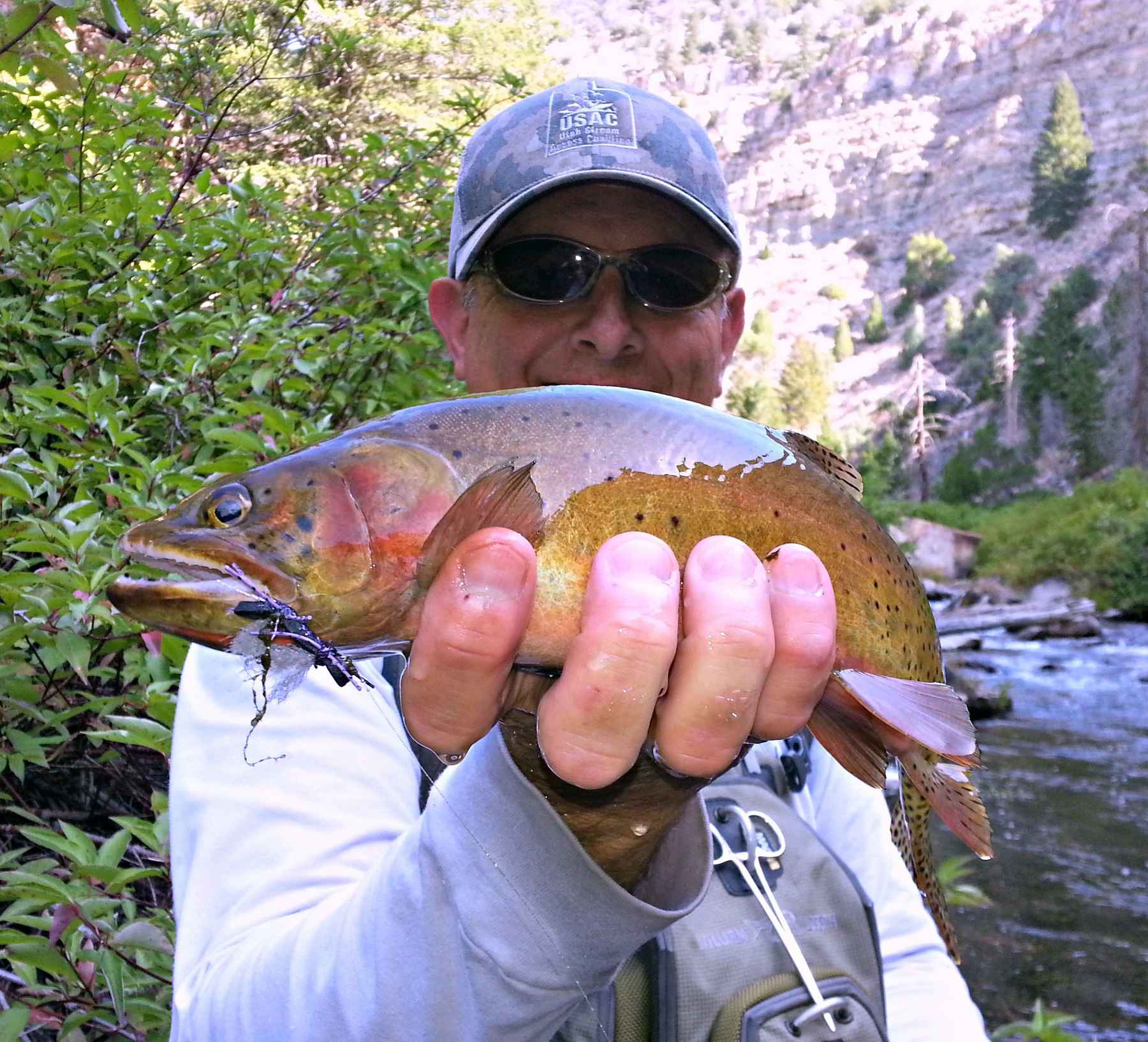 Angler Mark Greer with a Colorado River cutthroat trout from a small, isolated stream in eastern Utah (photo: Mark Greer). colorado river cutthroat trout