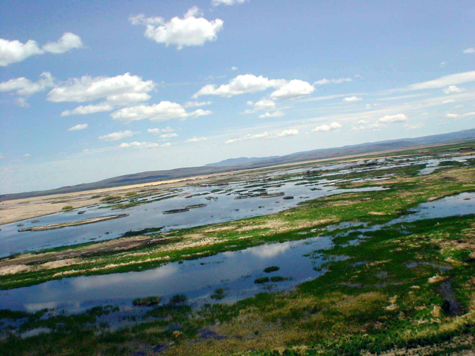 The vital wetlands of the Malheur refuge (photo: John Bromley). Malheur National Wildlife Refuge wetlands