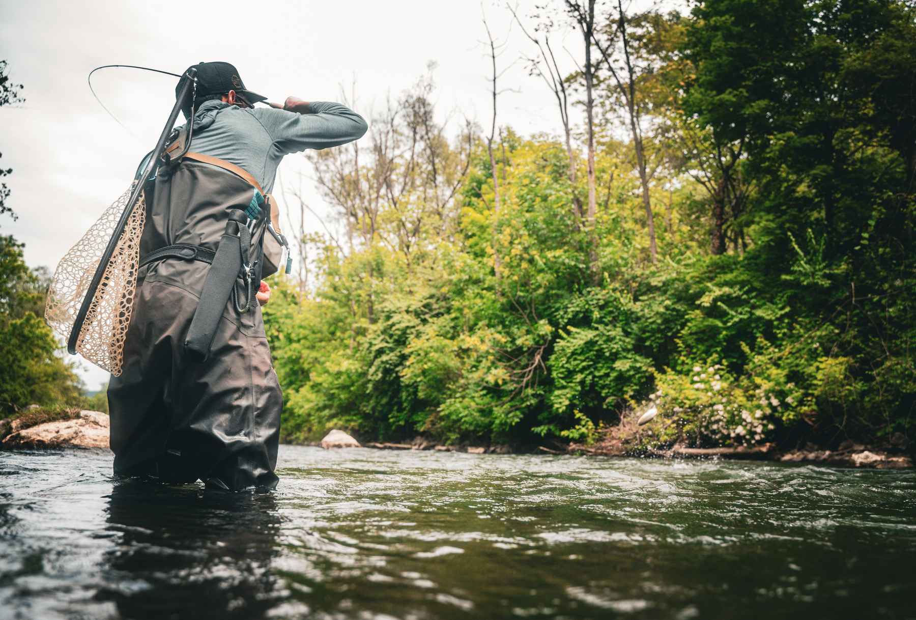 Sealing the deal: 5 tips for better hook sets | Hatch Magazine - Fly ...