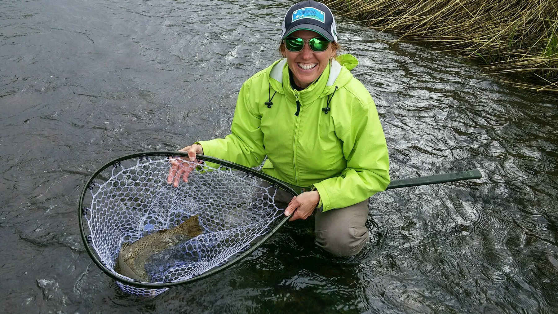 First it rains. Then it pours: fish (photo: Todd Lanning). henry's fork brown trout