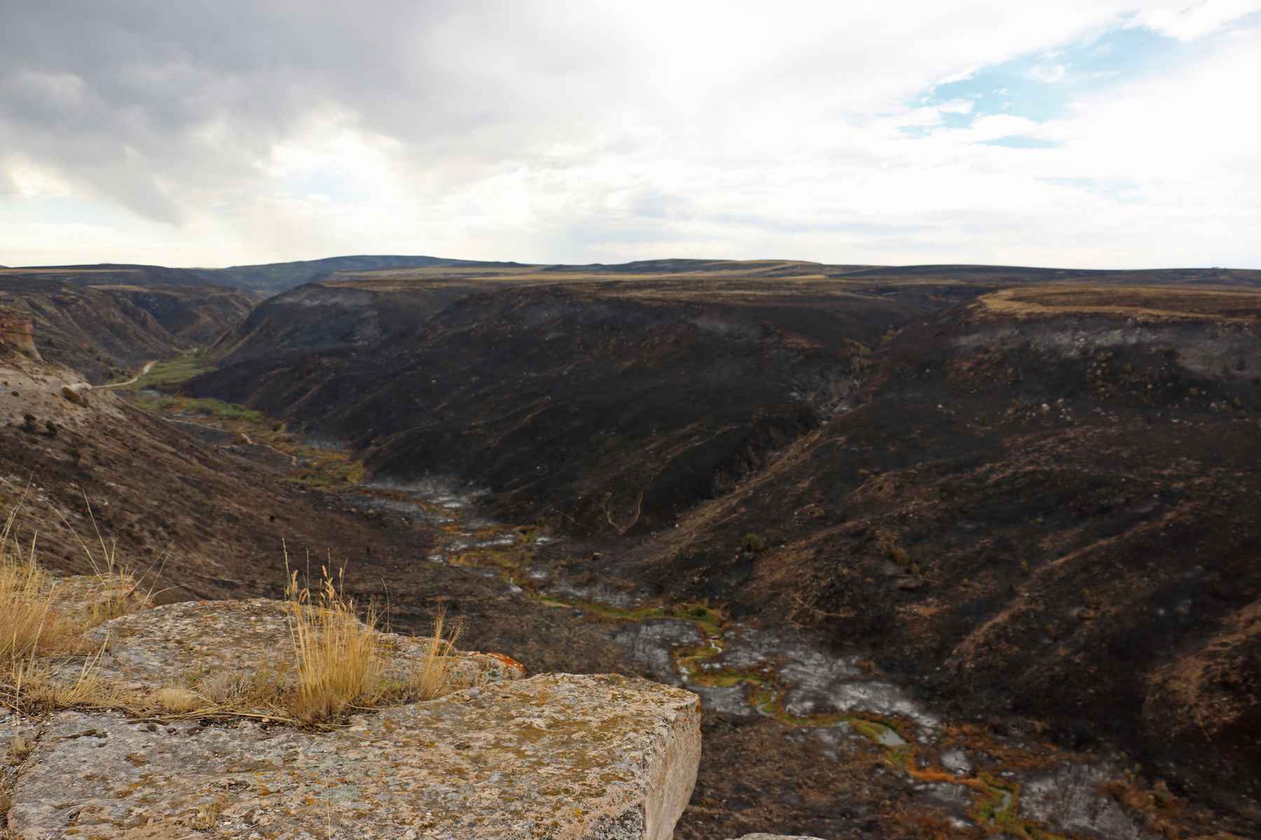 Tex Creek Wildlife Management Area in eastern Idaho covers 34,000 acres of public land. Seventy-five percent of it burned in an August wildfire (photo: Kris Millgate). tex creek wildfire