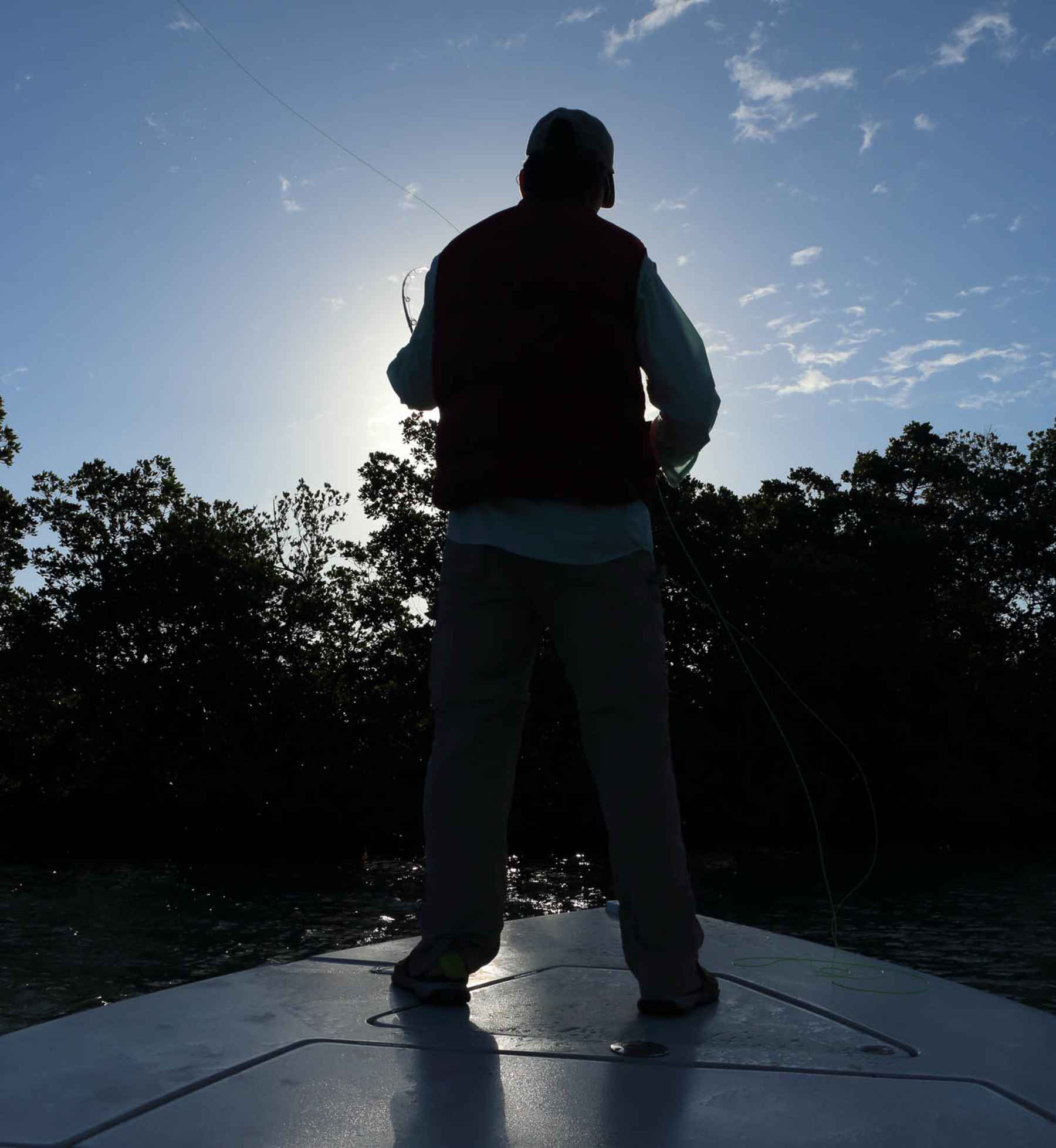 Photo: Kris Millgate florida mangrove