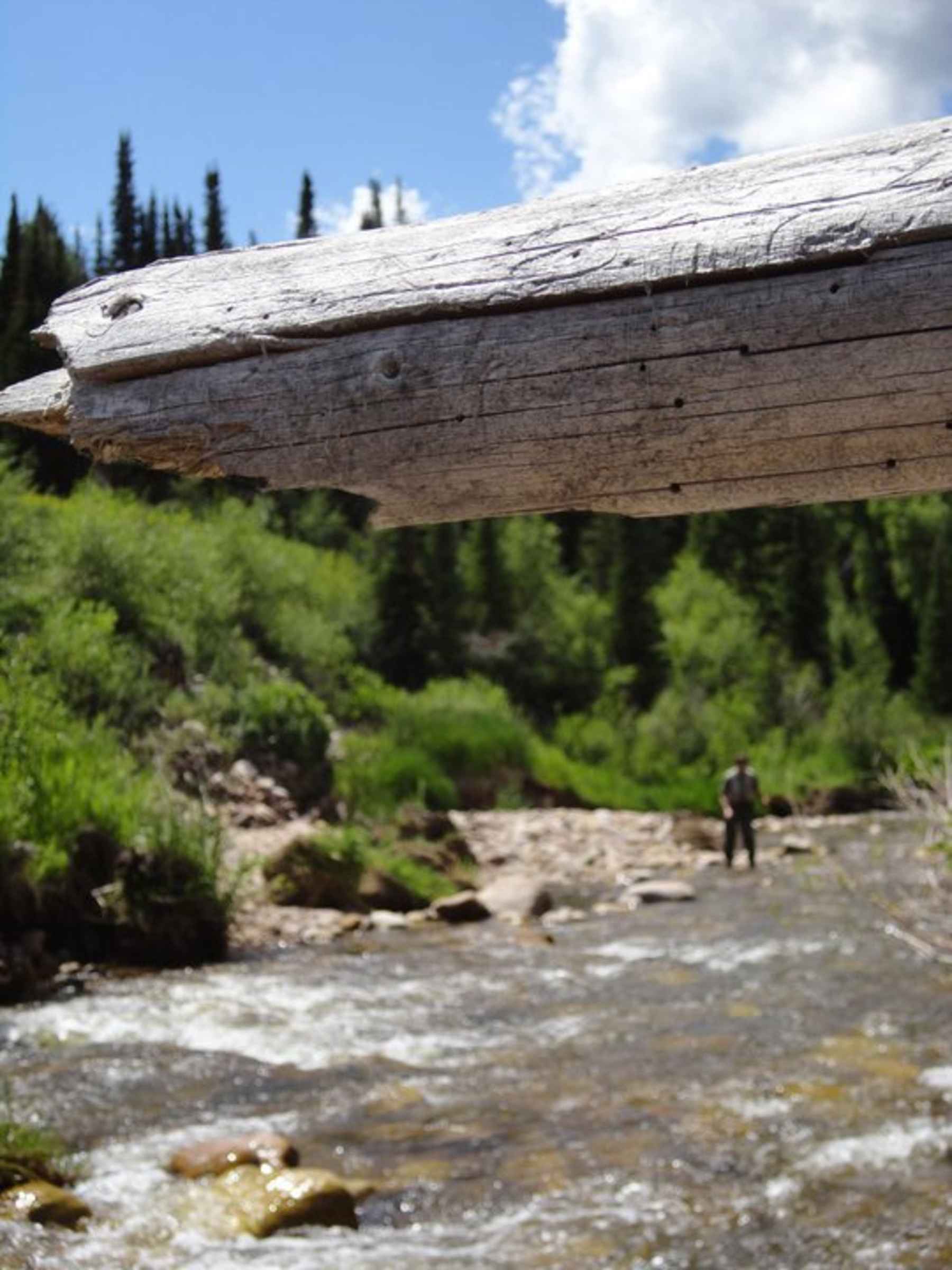 Fly fishing on the Weber River in Utah (photo: Natalie Fetzer). fishing weber river utah