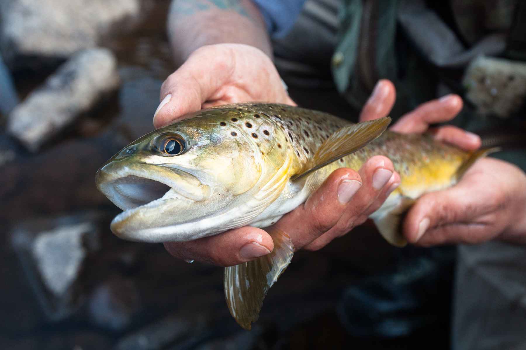 The Importance of Changing Your Game | Hatch Magazine - Fly Fishing, etc.