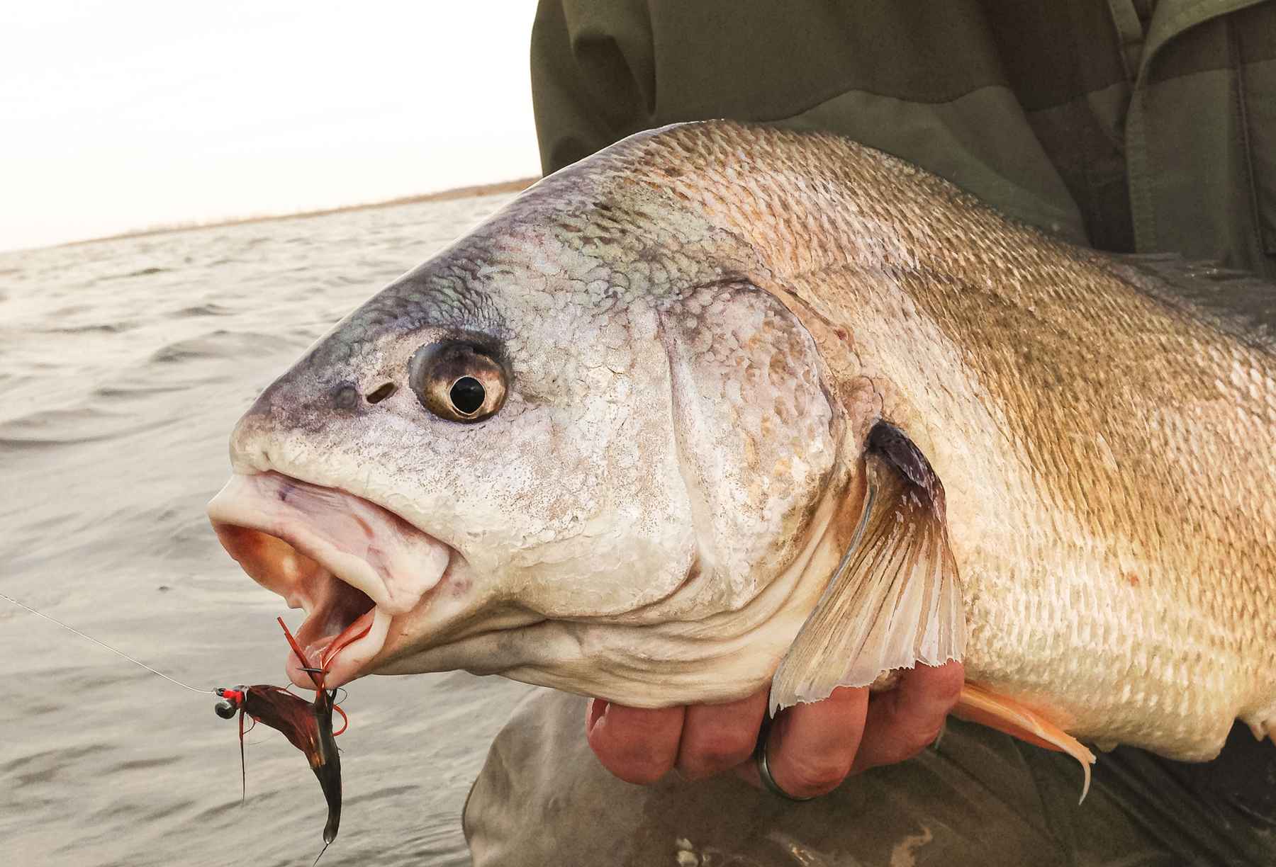 Photo: Tom Hazelton lake michigan rivermouth