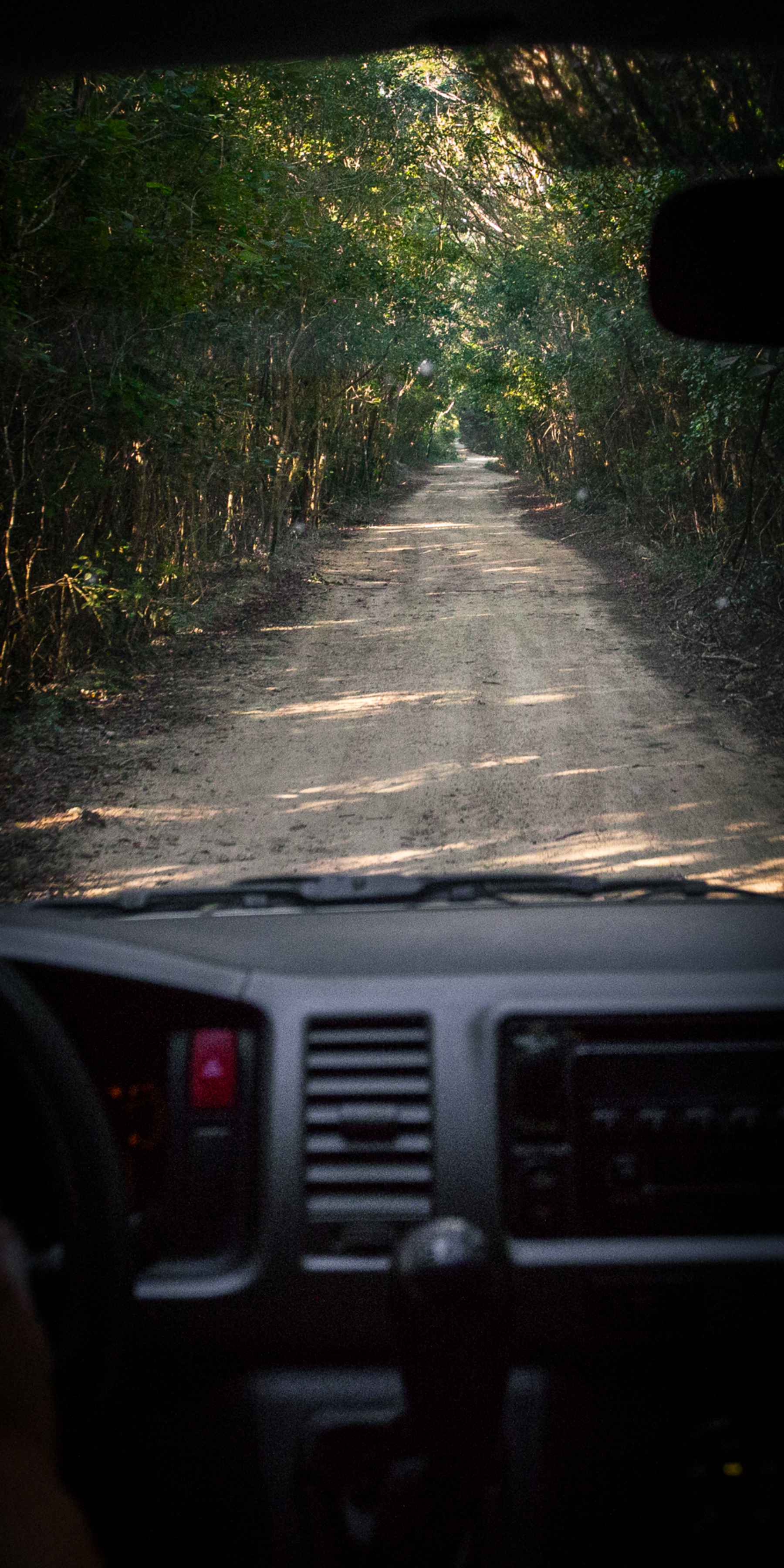 The road through the jungle of the S'ian Ka'an Biosphere Reserve bridges the gap from the highways that lead south from Cancun and Tulum to the waters that lead to the beaches of sleepy Punta Allen. Jungle Road - S'ian Ka'an Biosphere Reserve