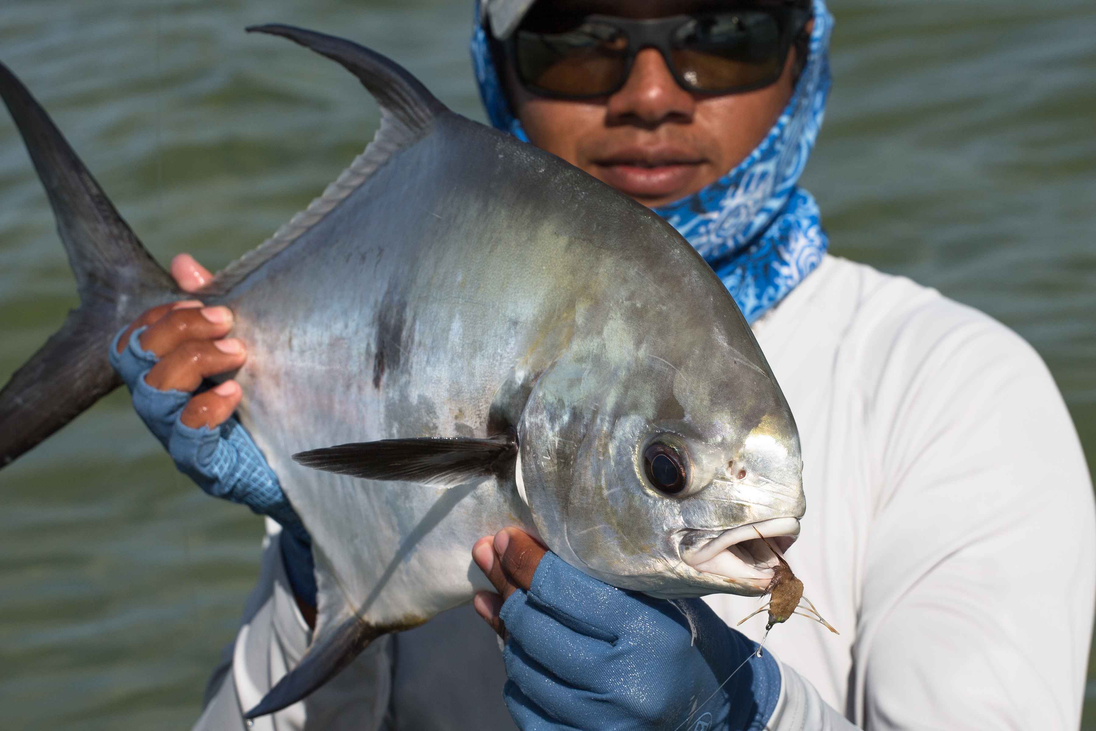 Fly Fishing for Baby Tarpon