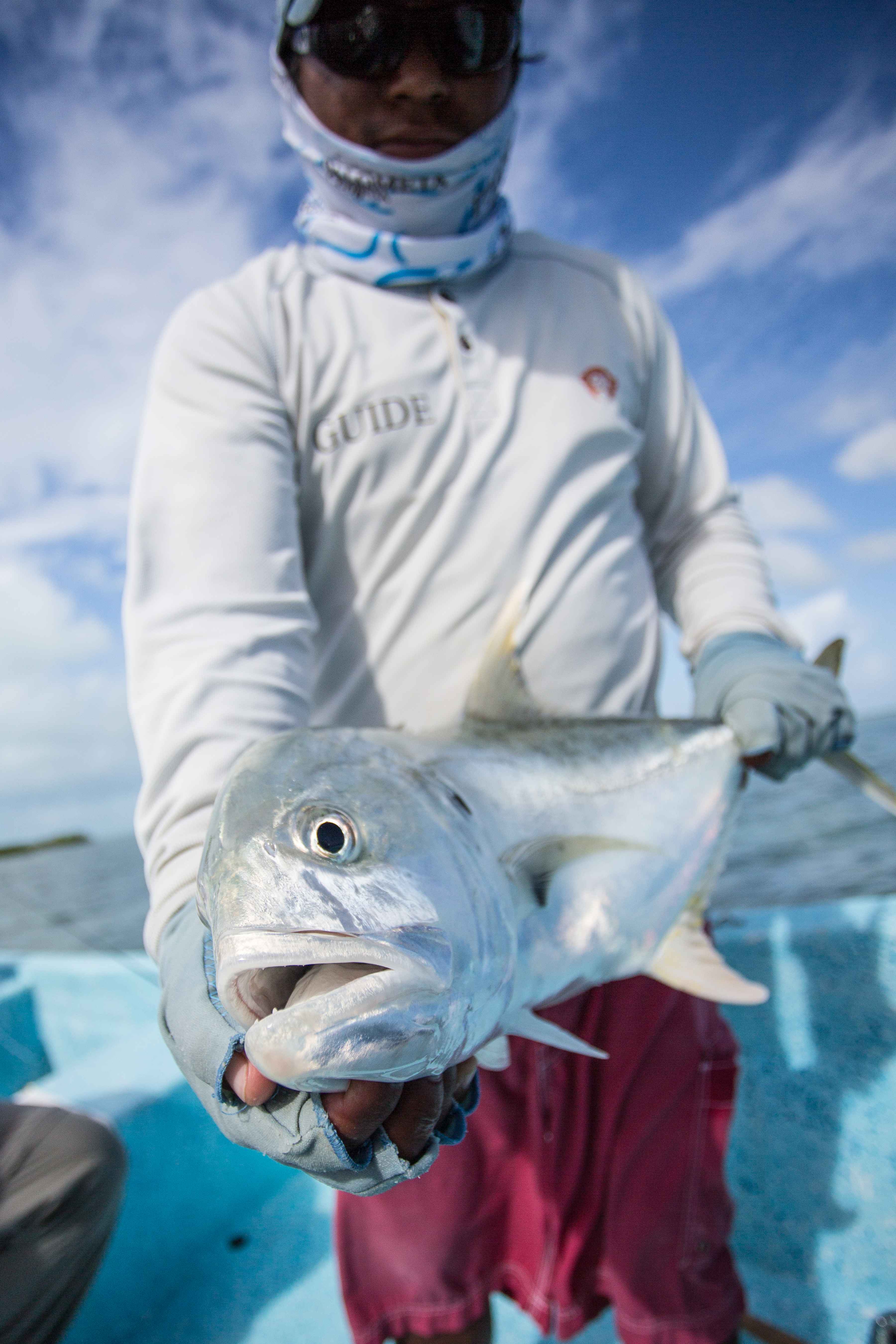 Fly Fishing for Baby Tarpon