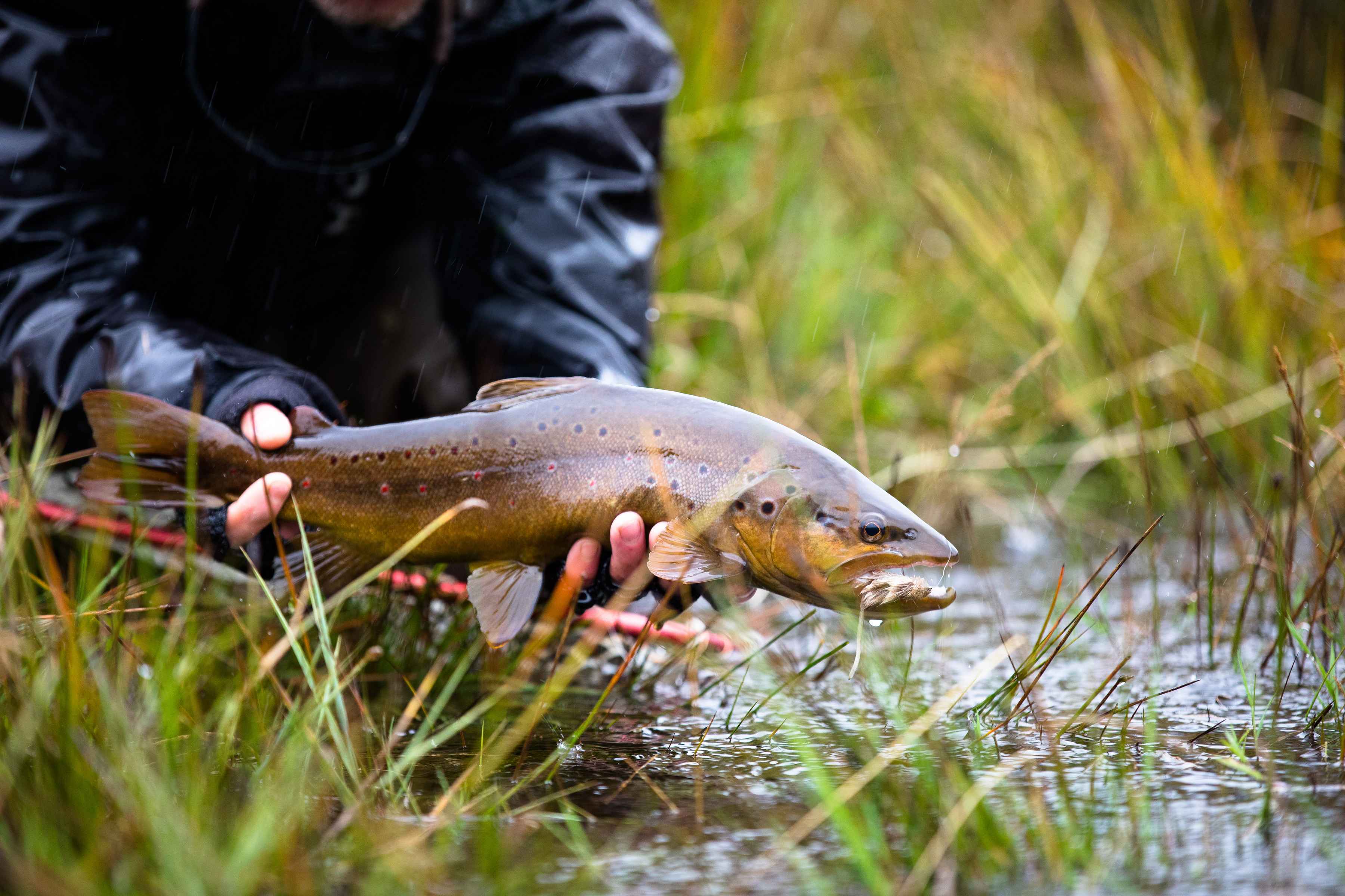 Fishing Information — Oscar's Fly & Tackle Shop