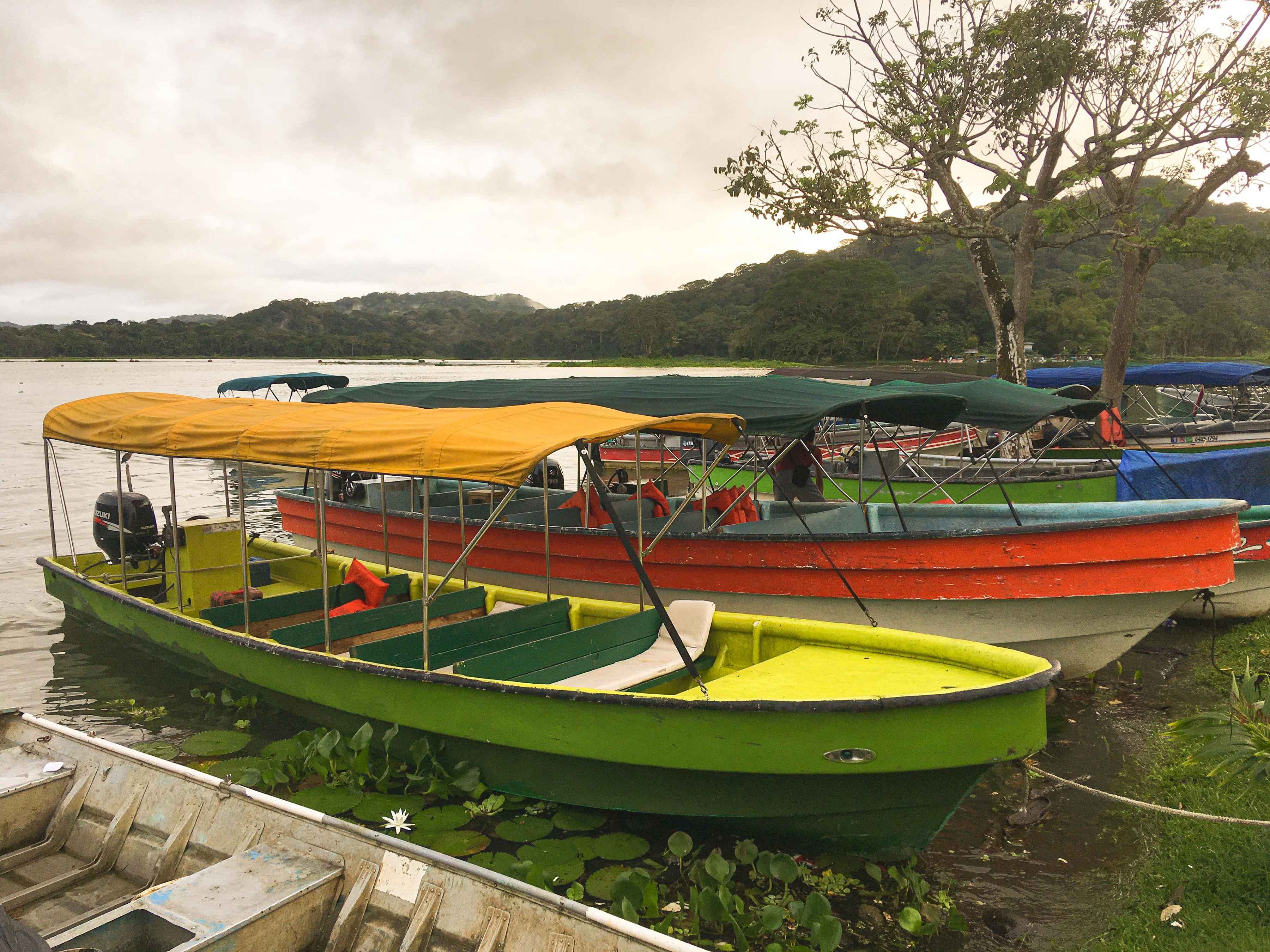 Pangas in the canal zone (photo: Stephen Sautner). panagas in the panama canal zone