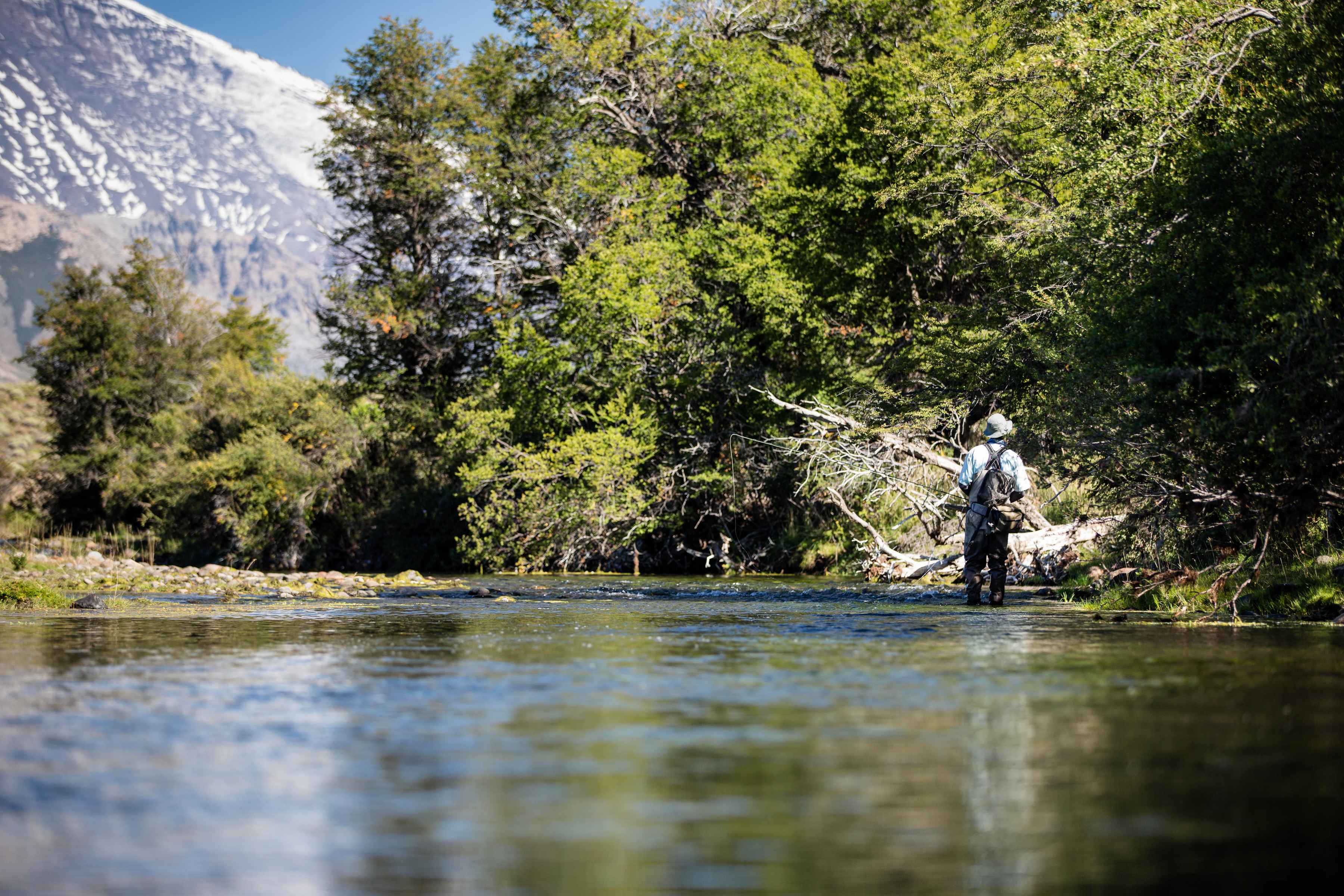 Review: Winston PURE fly rod  Hatch Magazine - Fly Fishing, etc.