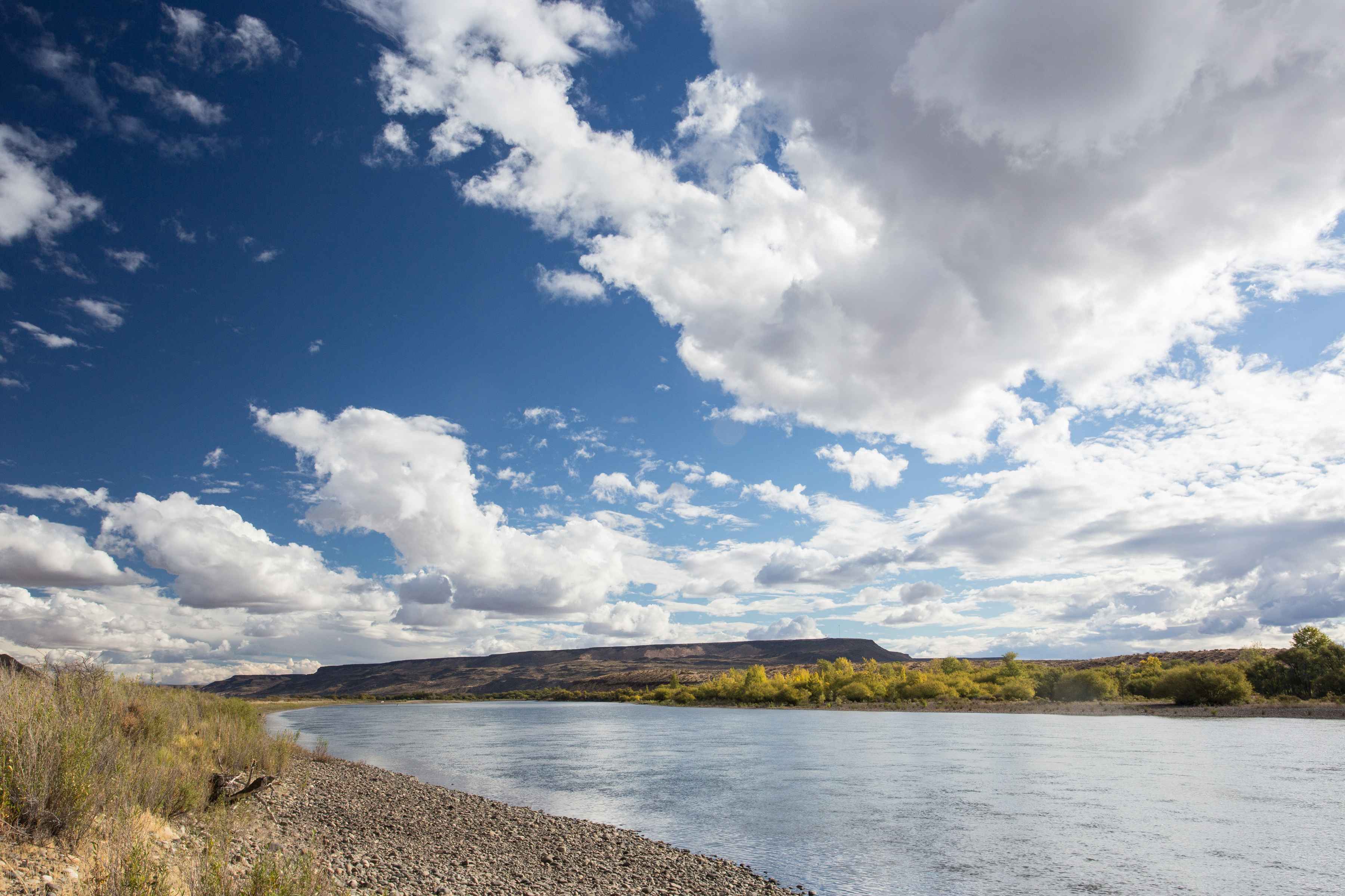 Blue skies, bright sun and Patagonia's ever-present clouds bathe the Limay (photo: Chad Shmukler). Rio Limay Patagonia Argentina