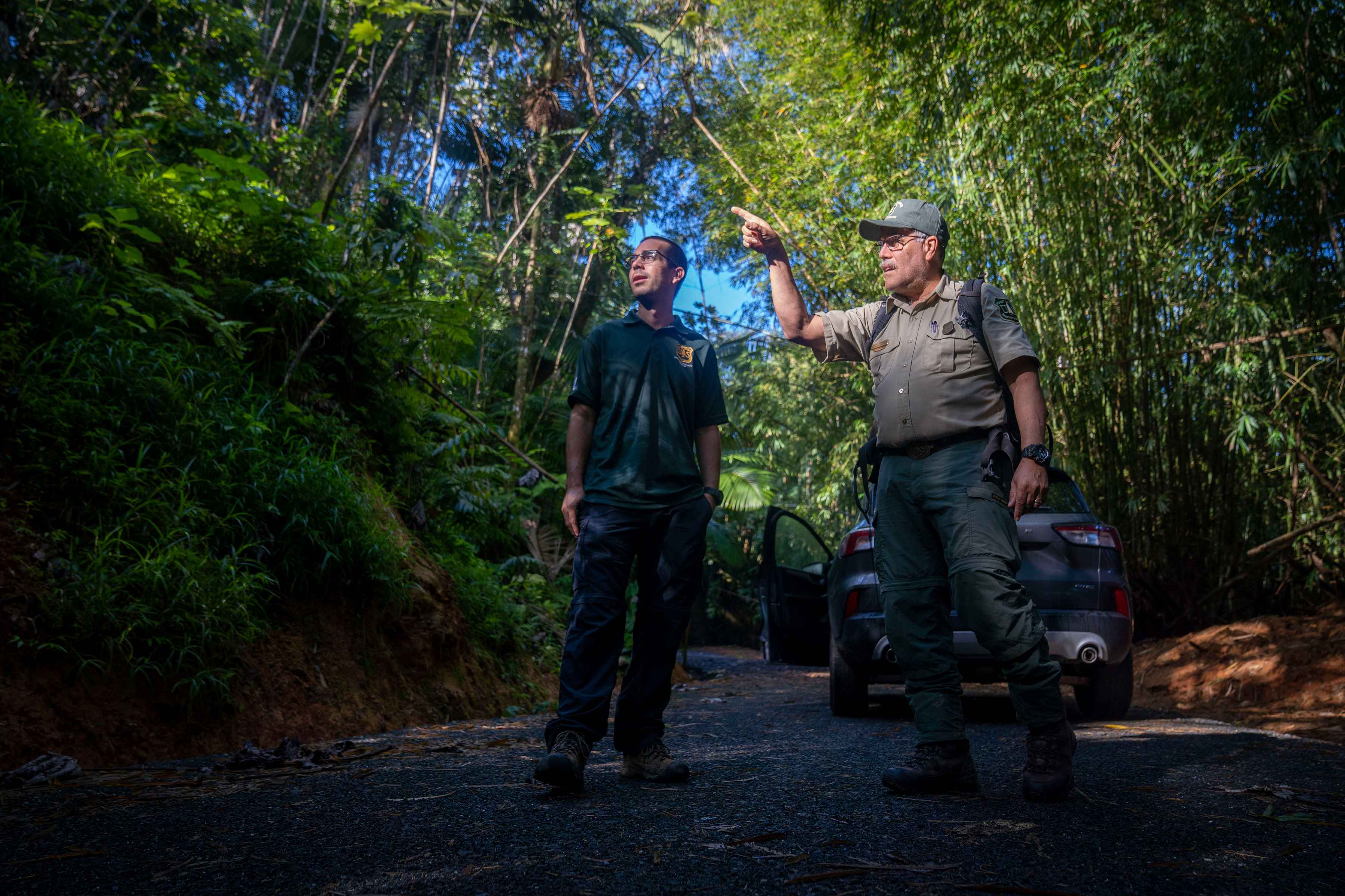 USFS International Institute of Tropical Forestry researchers in discussion prior to collection of samples from the Bisley Research Area (photo: Preston Keres / USDA). usfs researchers