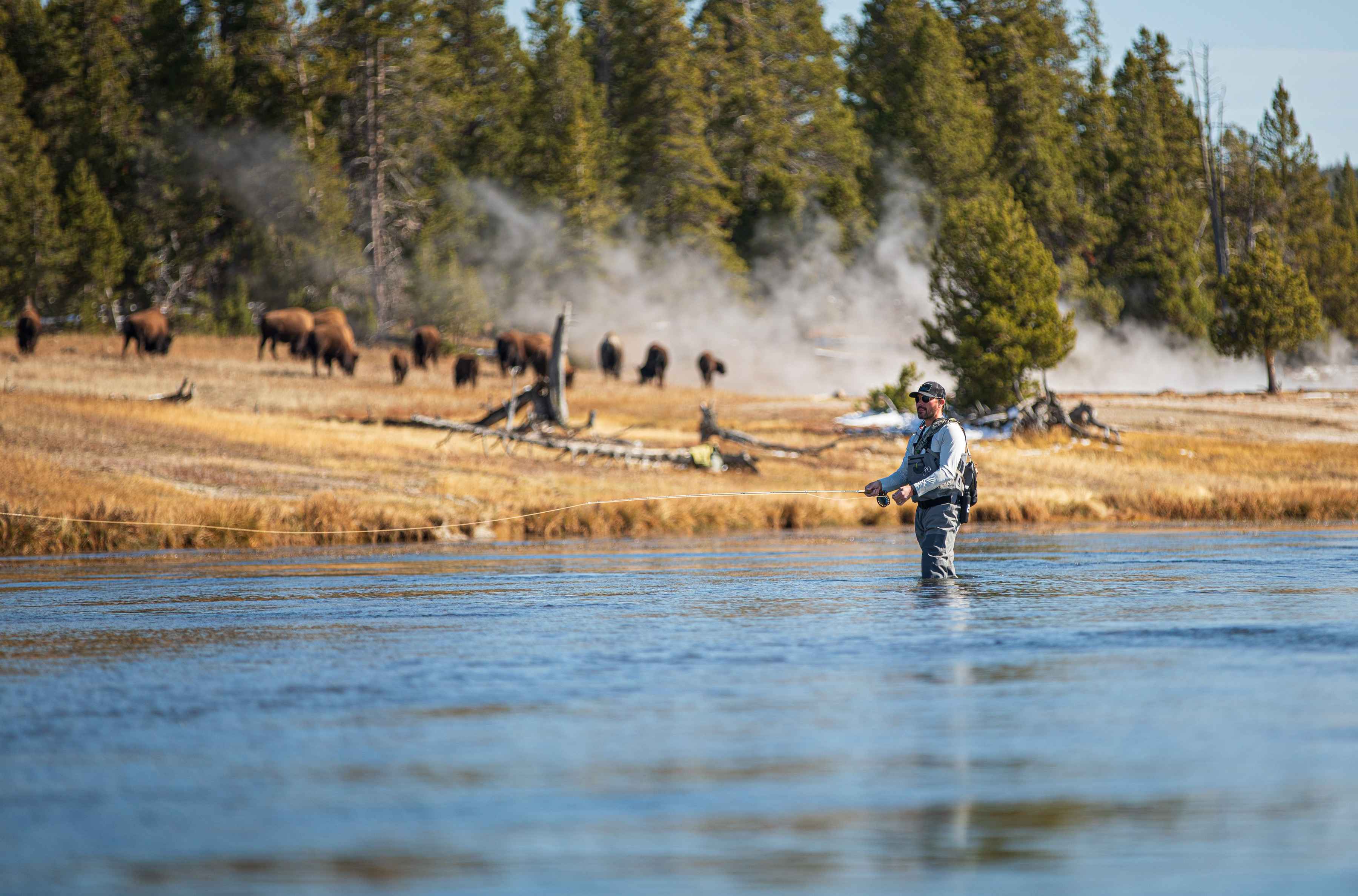 Fall fishing on the Firehole River (photo: Chad Shmukler). firehole river fall fishing yellowstone national park