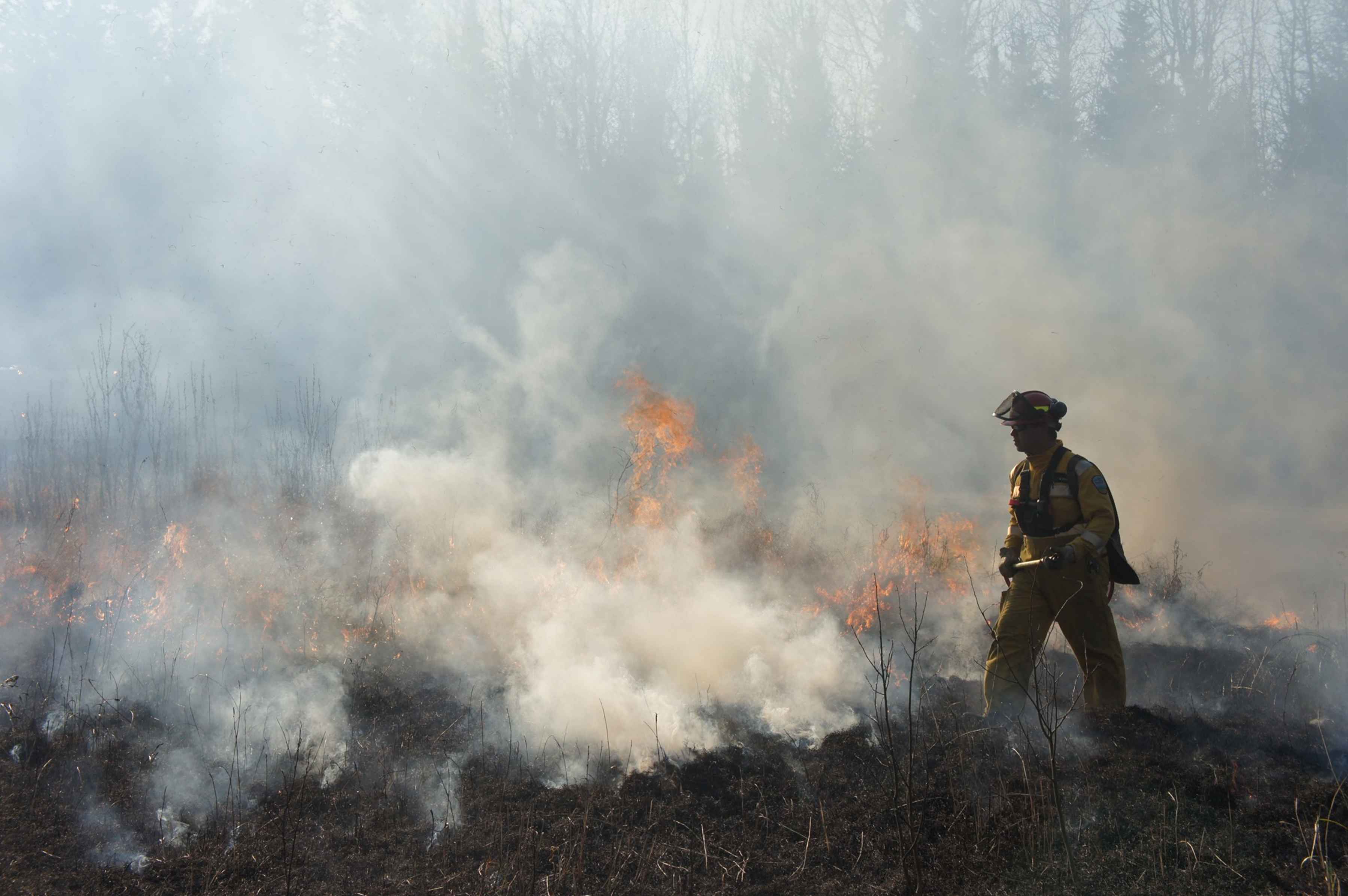 Photo: Alberta Wildfire firefighter alberta widlfire