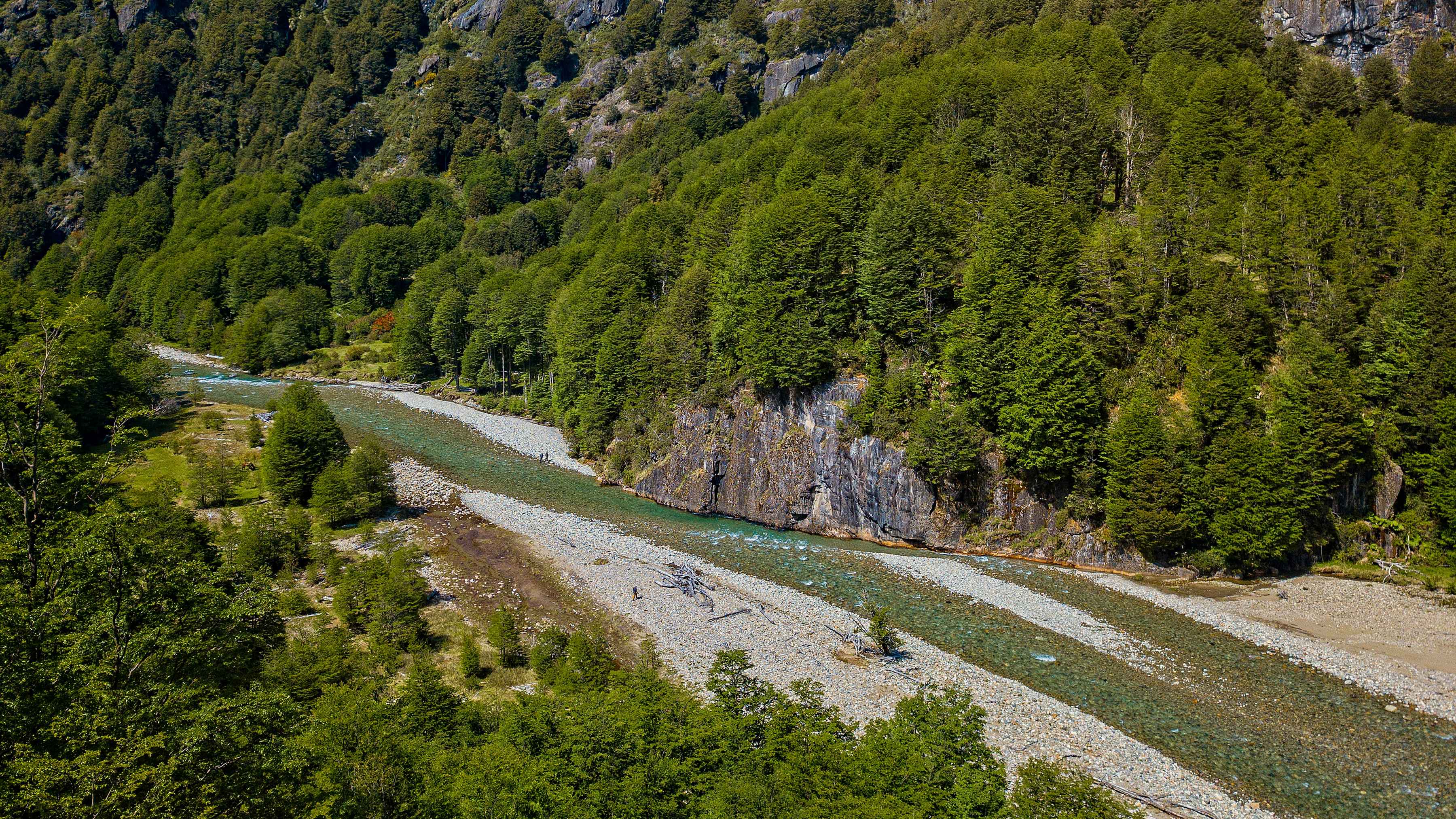 Fly fishing Rio Mogote (photo: Earl Harper). rio mogote fly fishing