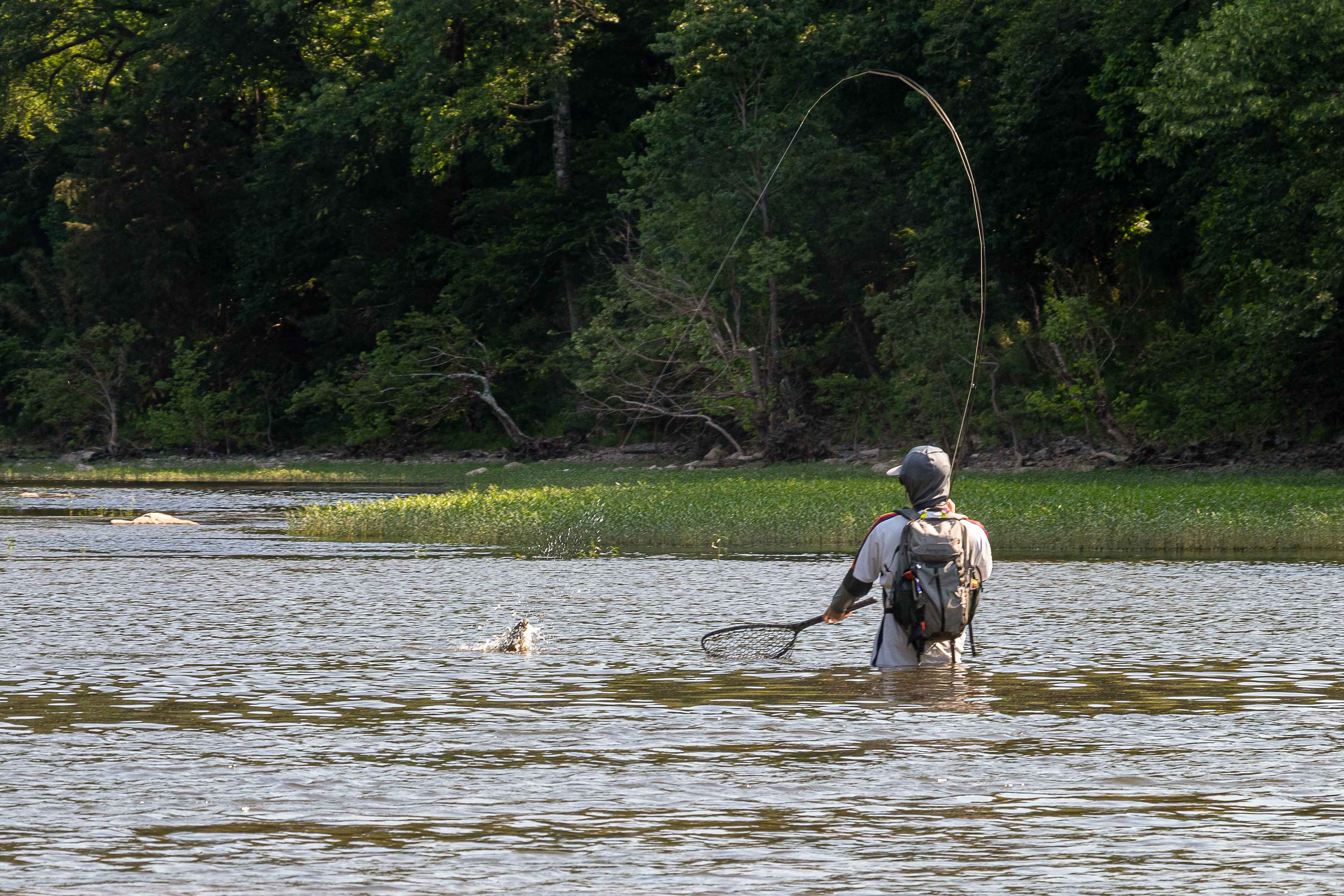 Photo: Rob McConnell oklahoma smallmouth bass river