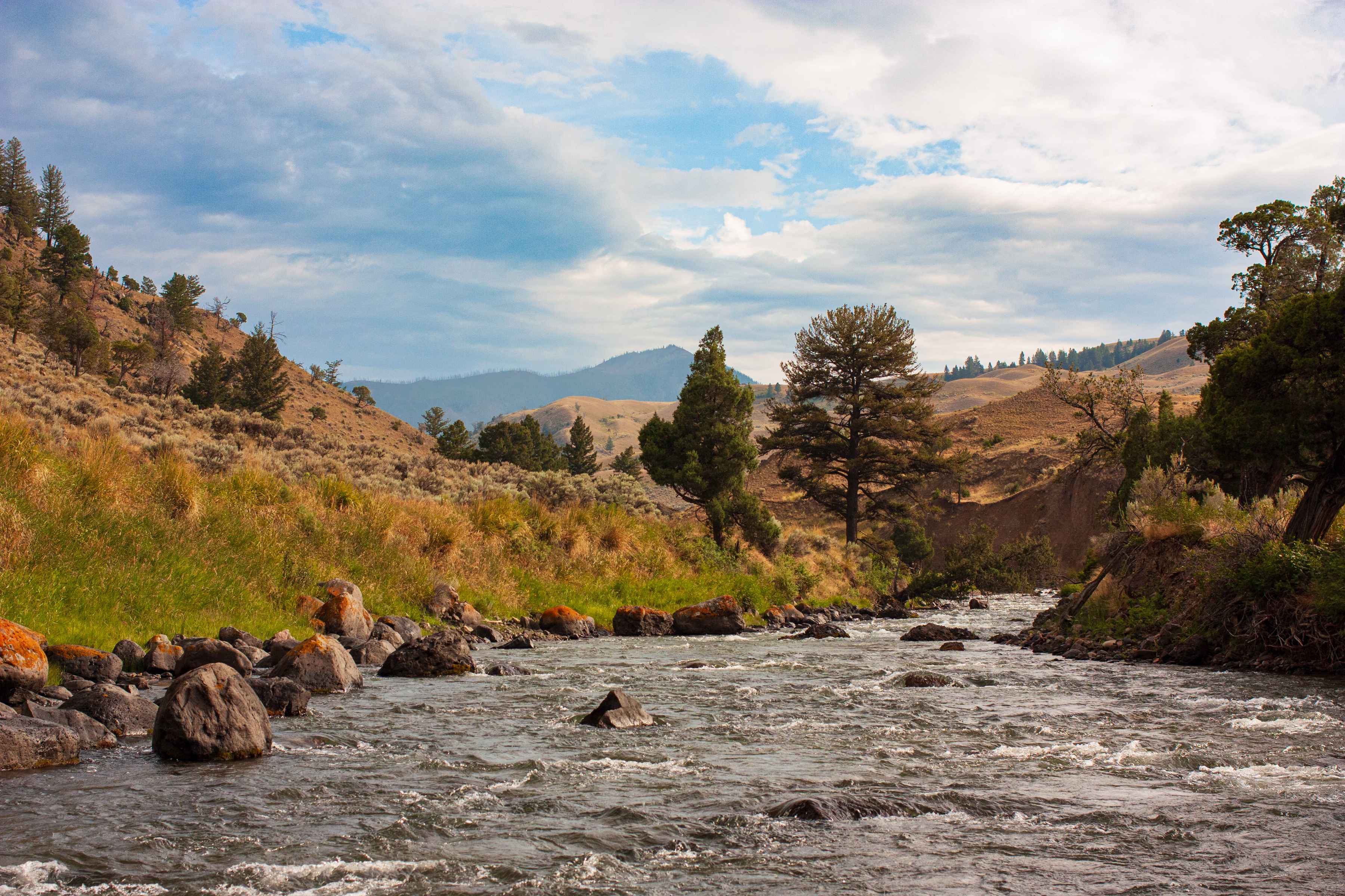 The Gardner River in Yellowstone National Park (photo: Chad Shmukler). Gardner River in Yellowstone National Park