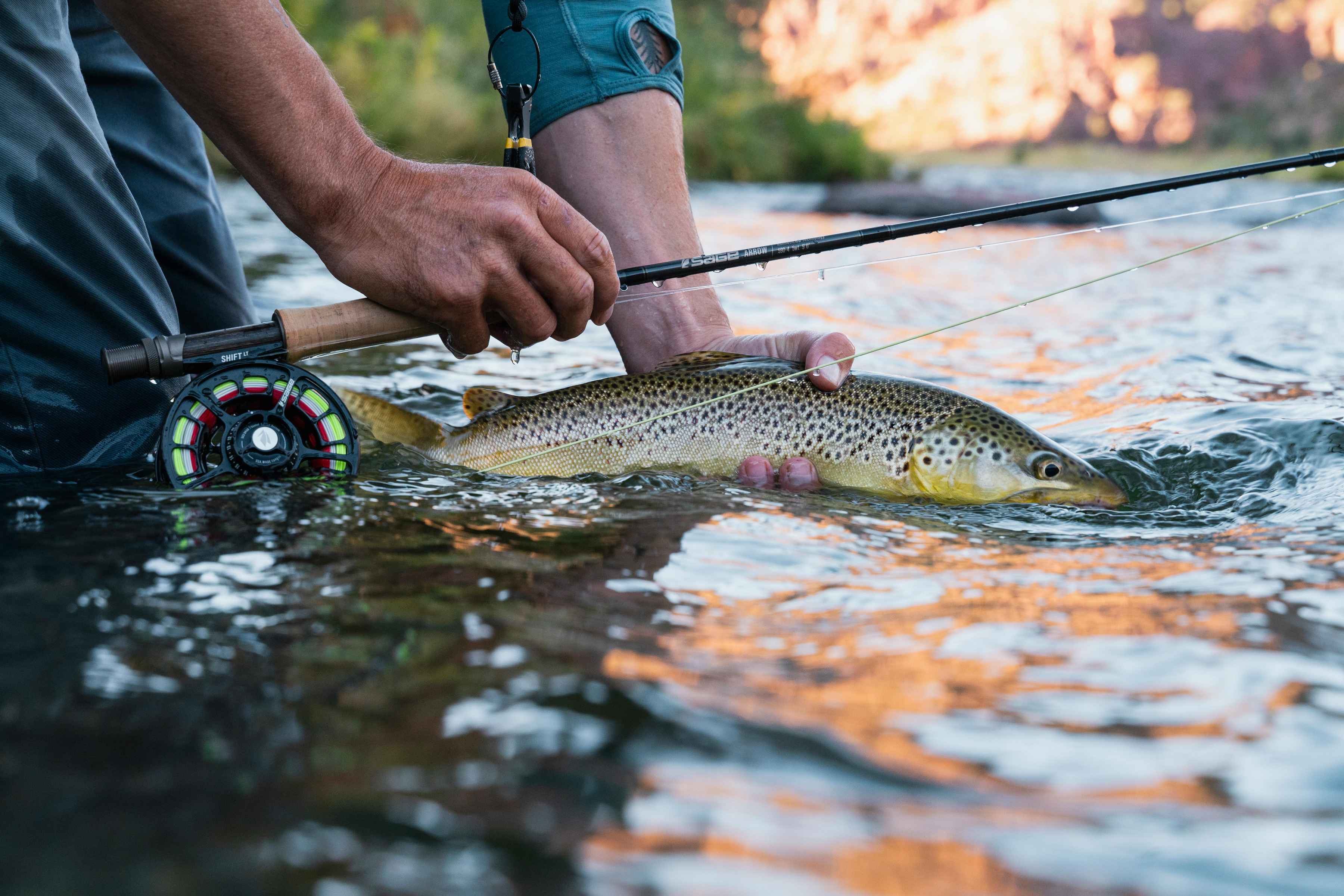 Photo: Far Bank Enterprises. sage arrow fly rod